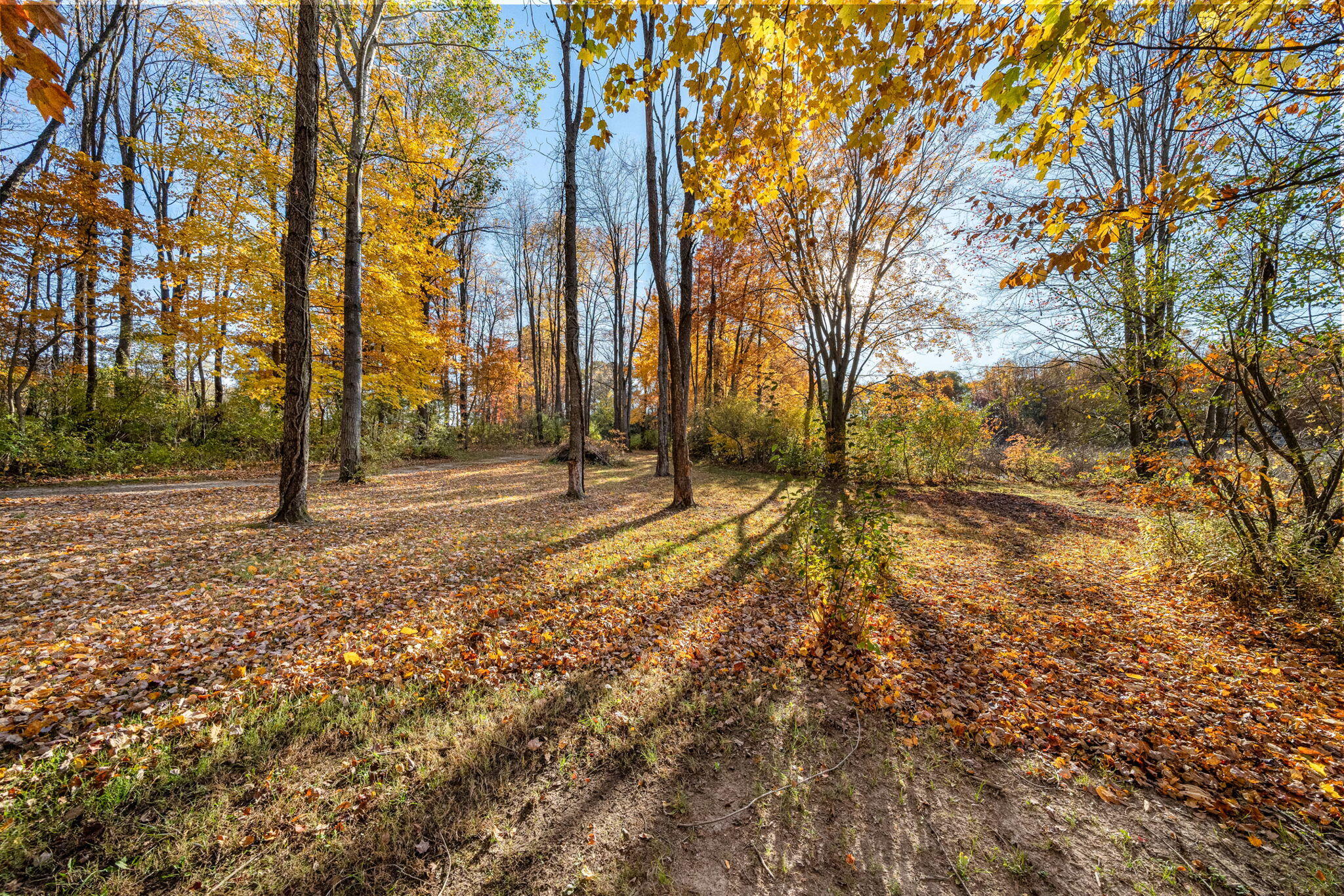 60070 Pemberton Road Property Photo 73