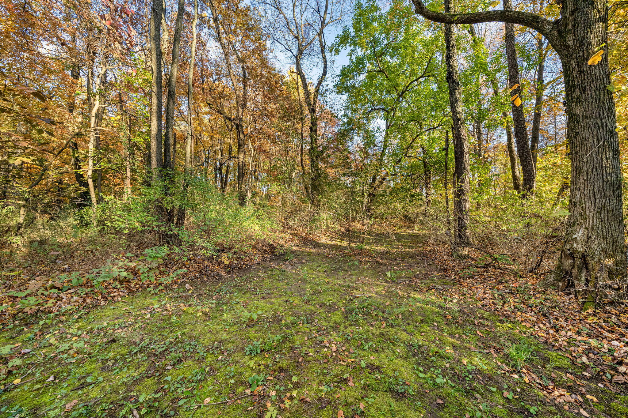 60070 Pemberton Road Property Photo 75