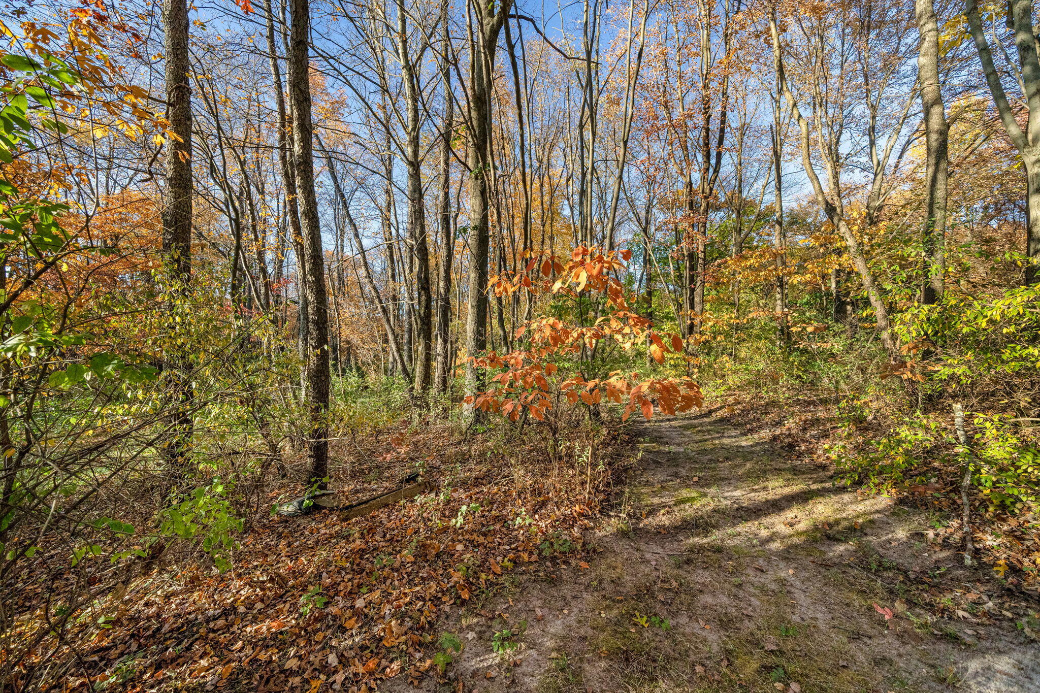 60070 Pemberton Road Property Photo 76