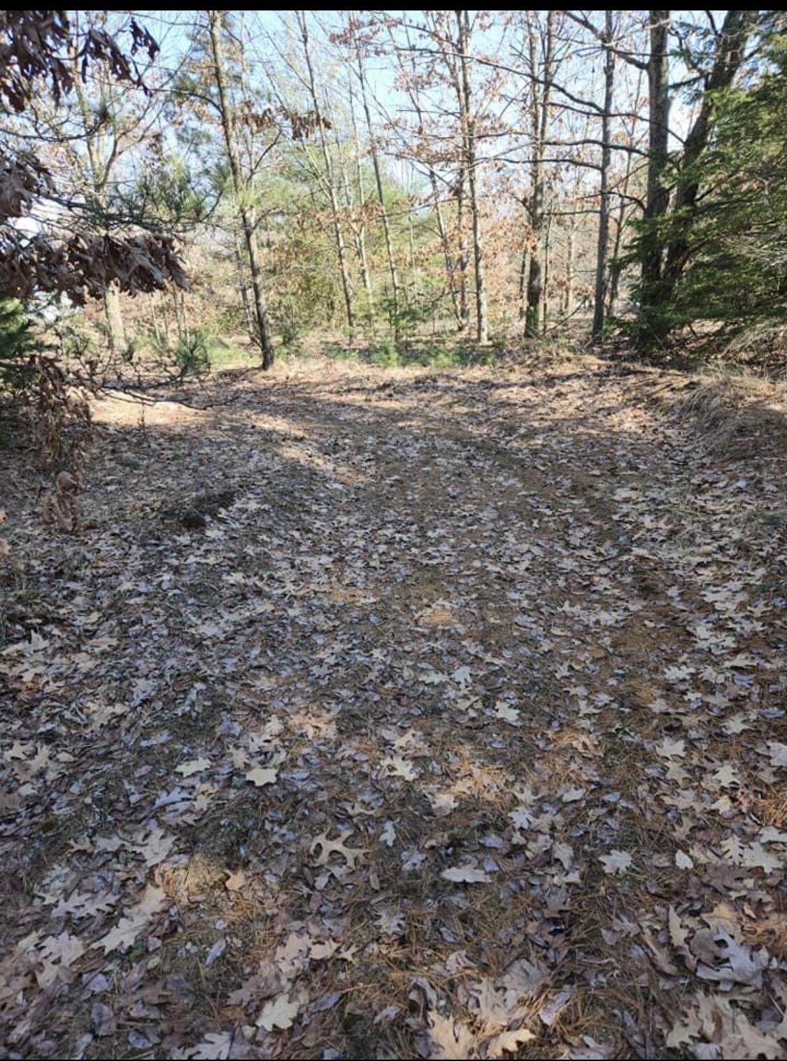 9245 Northland Drive Property Photo 10