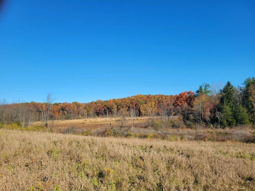 0 S Tripp Road Property Photo