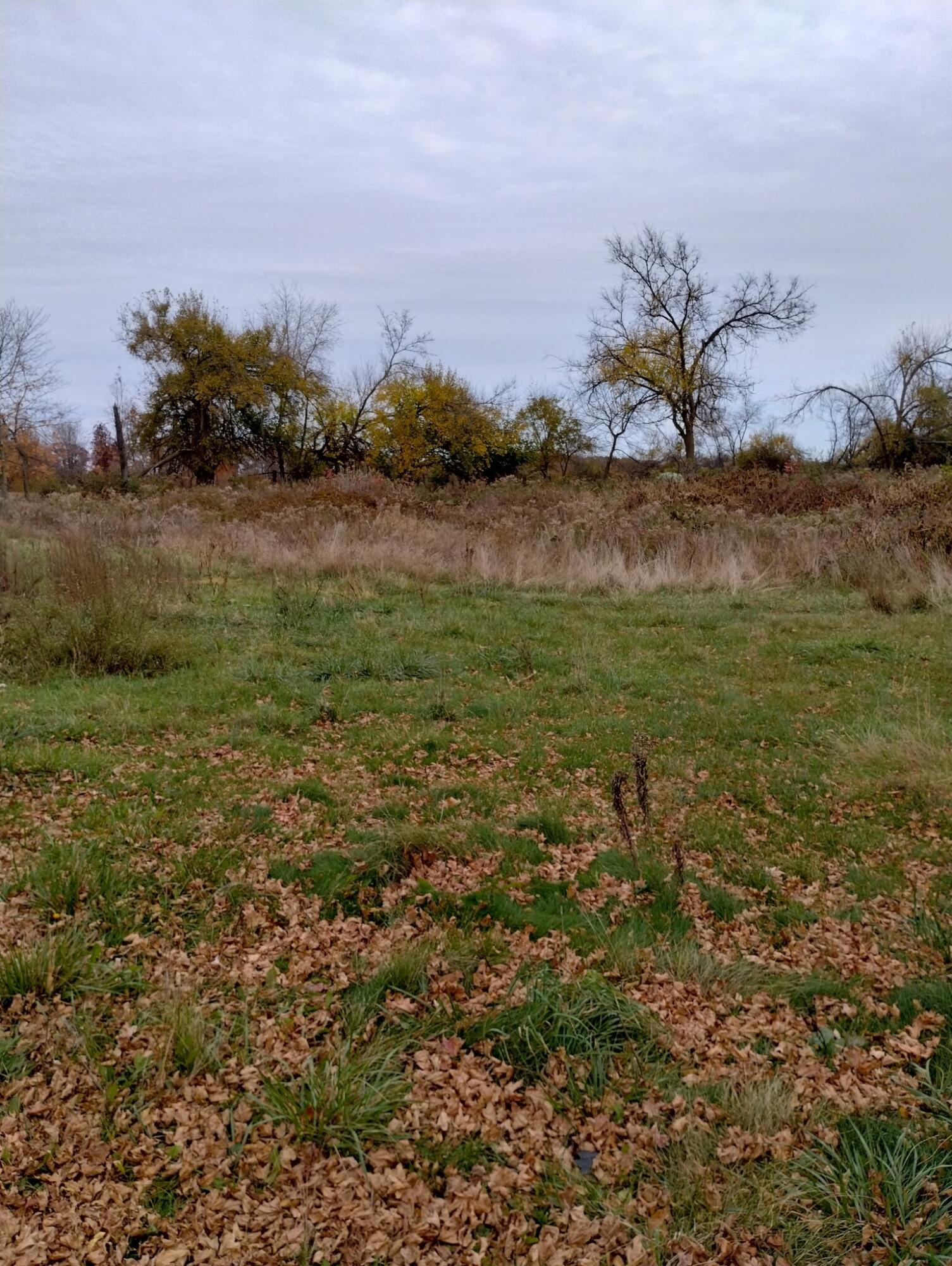 52711 Finch Road Property Photo 2