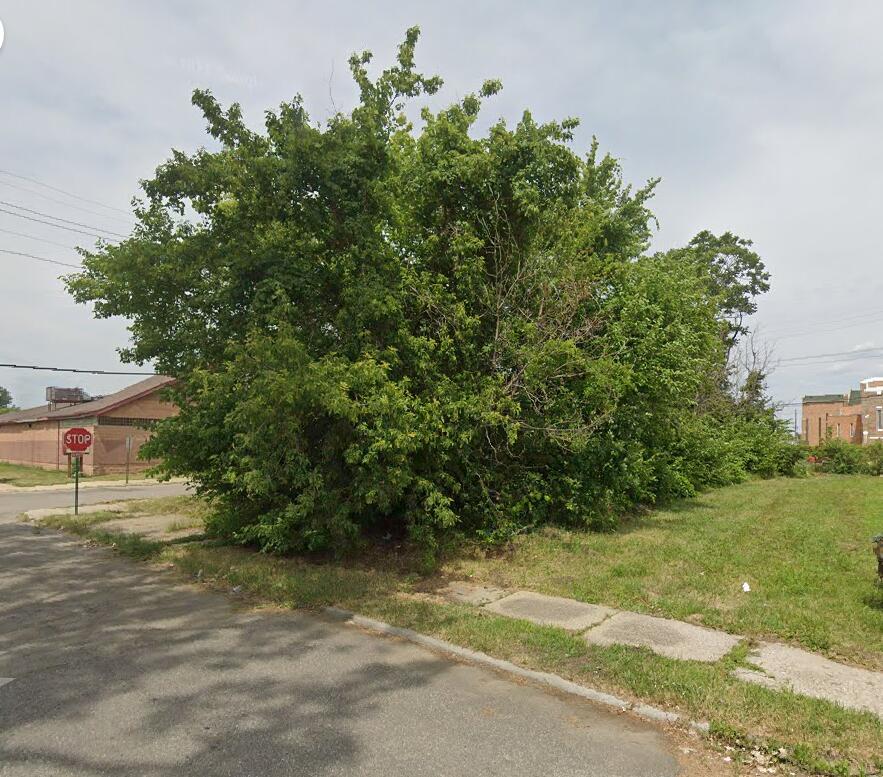 9254 Cameron Street Property Photo 1