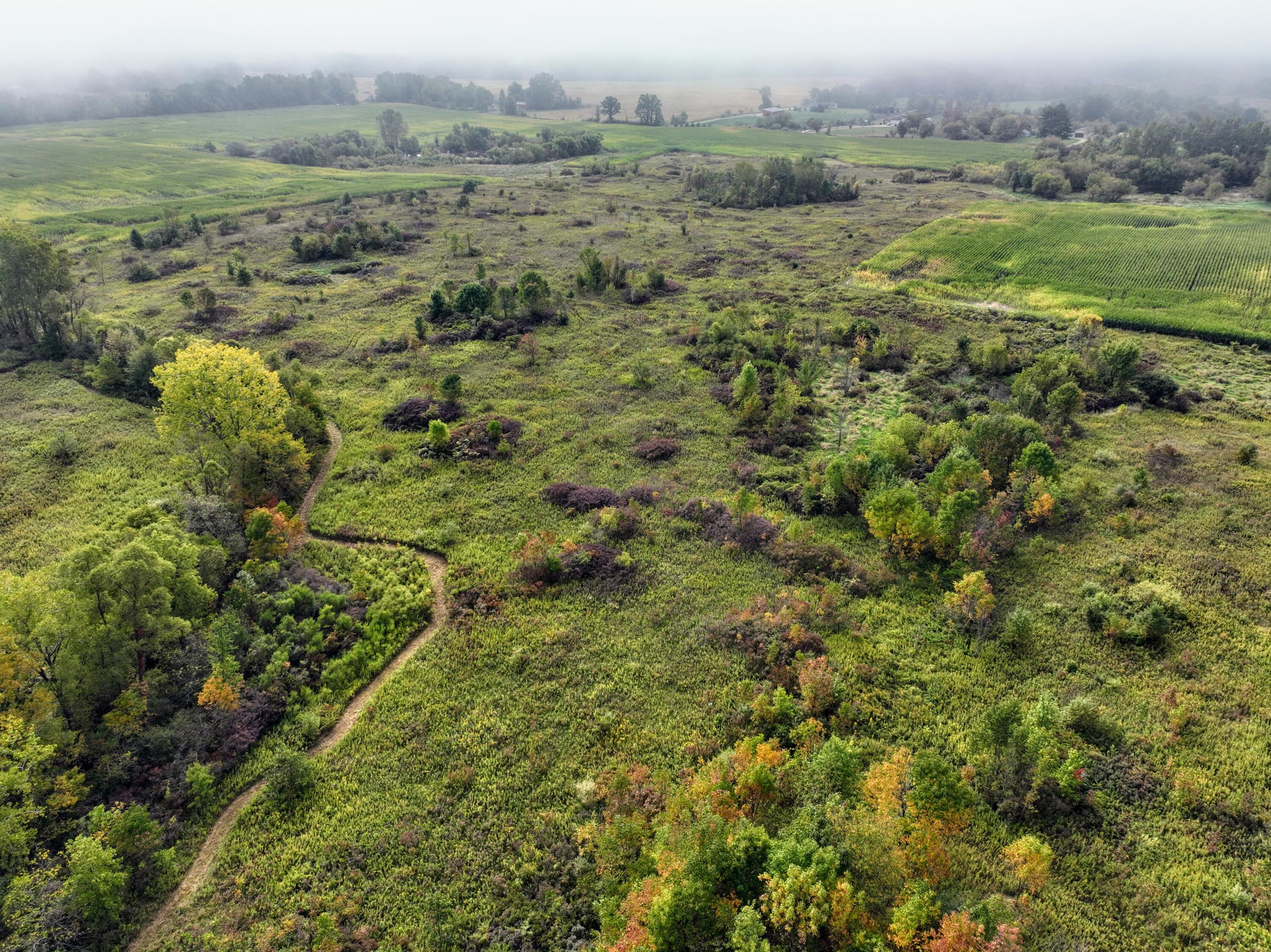 Vl Cox Road, Lot#wp001 Property Photo