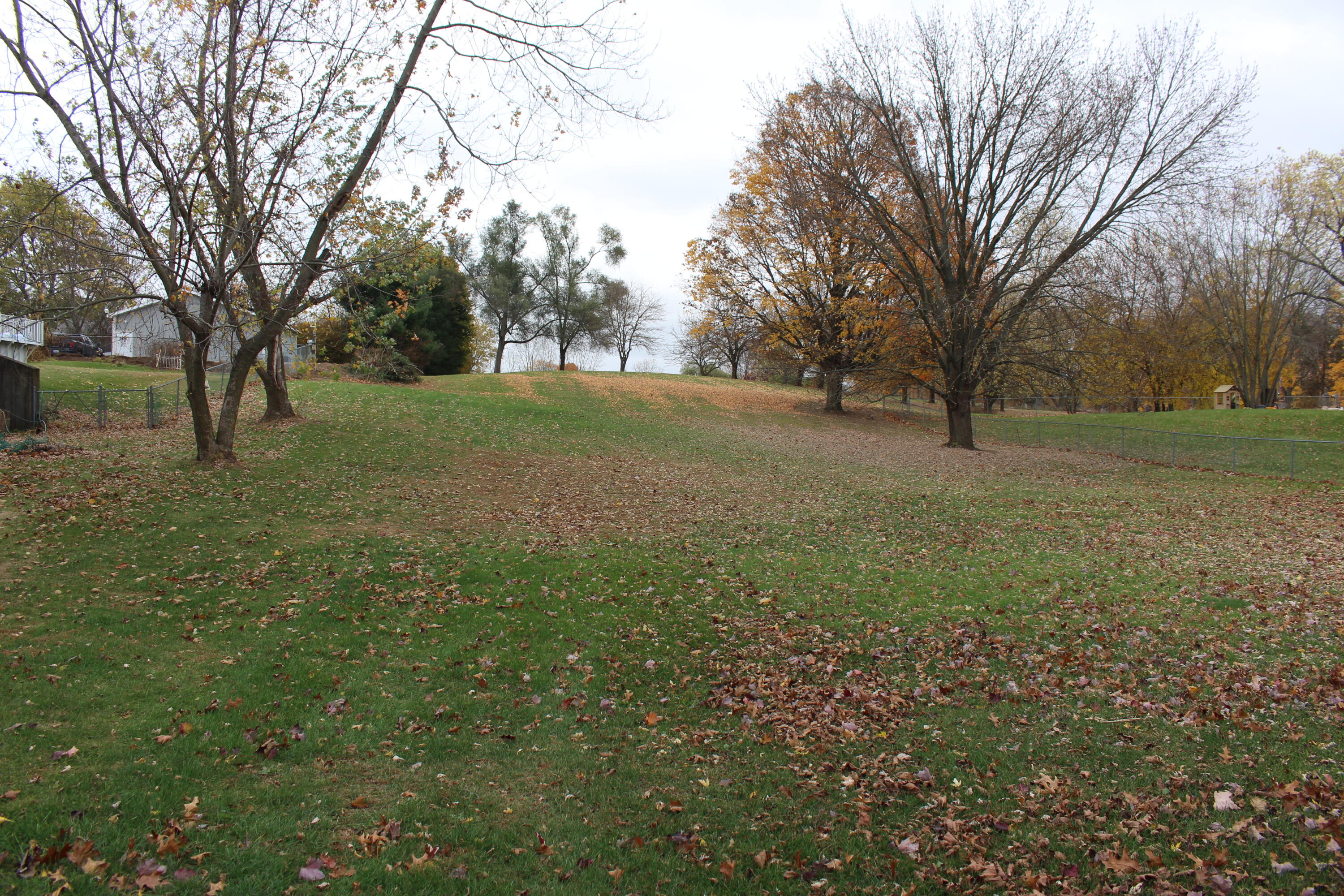 0 Wolf Lake Road Property Photo 1