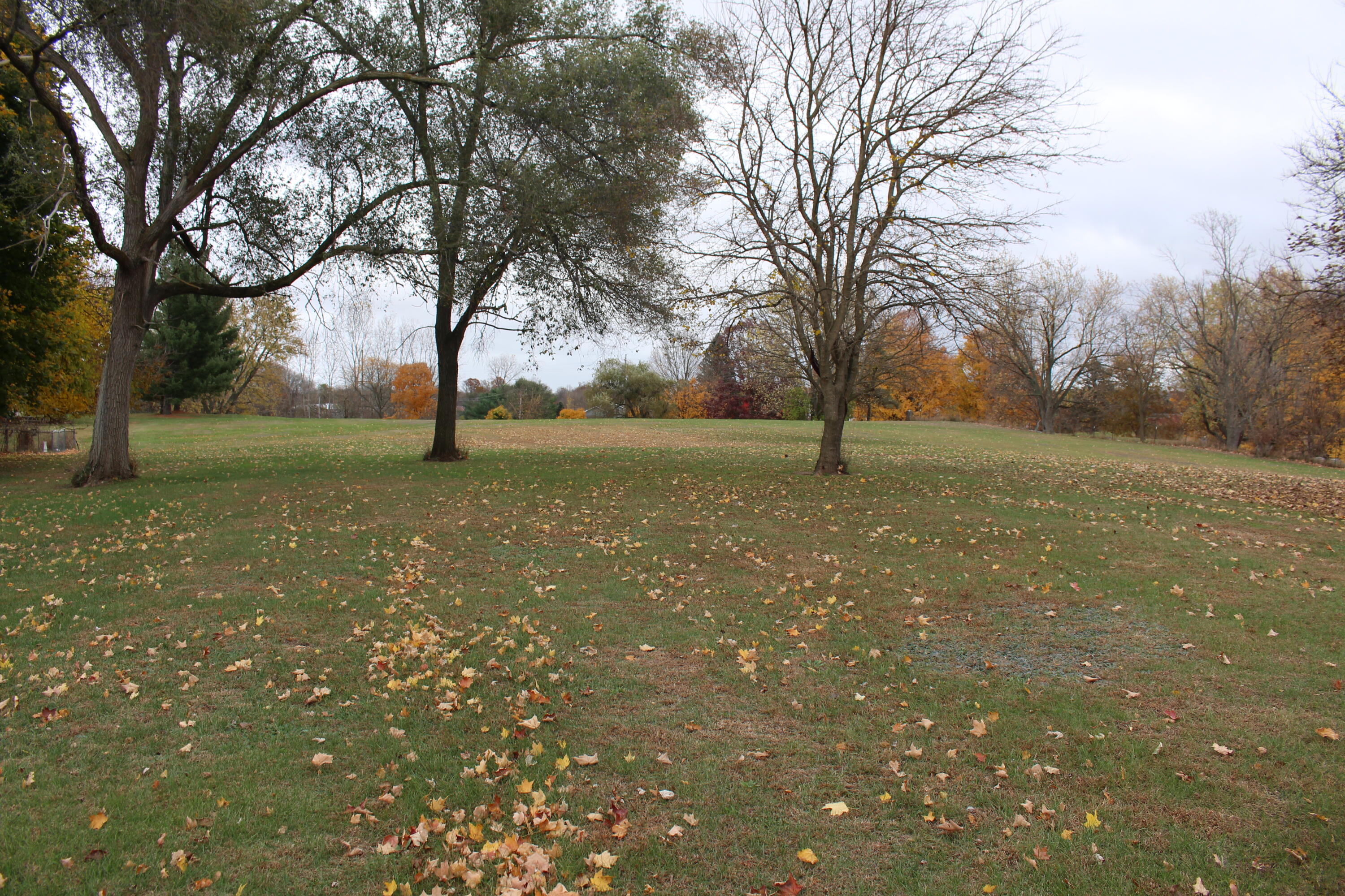 0 Wolf Lake Road Property Photo 2