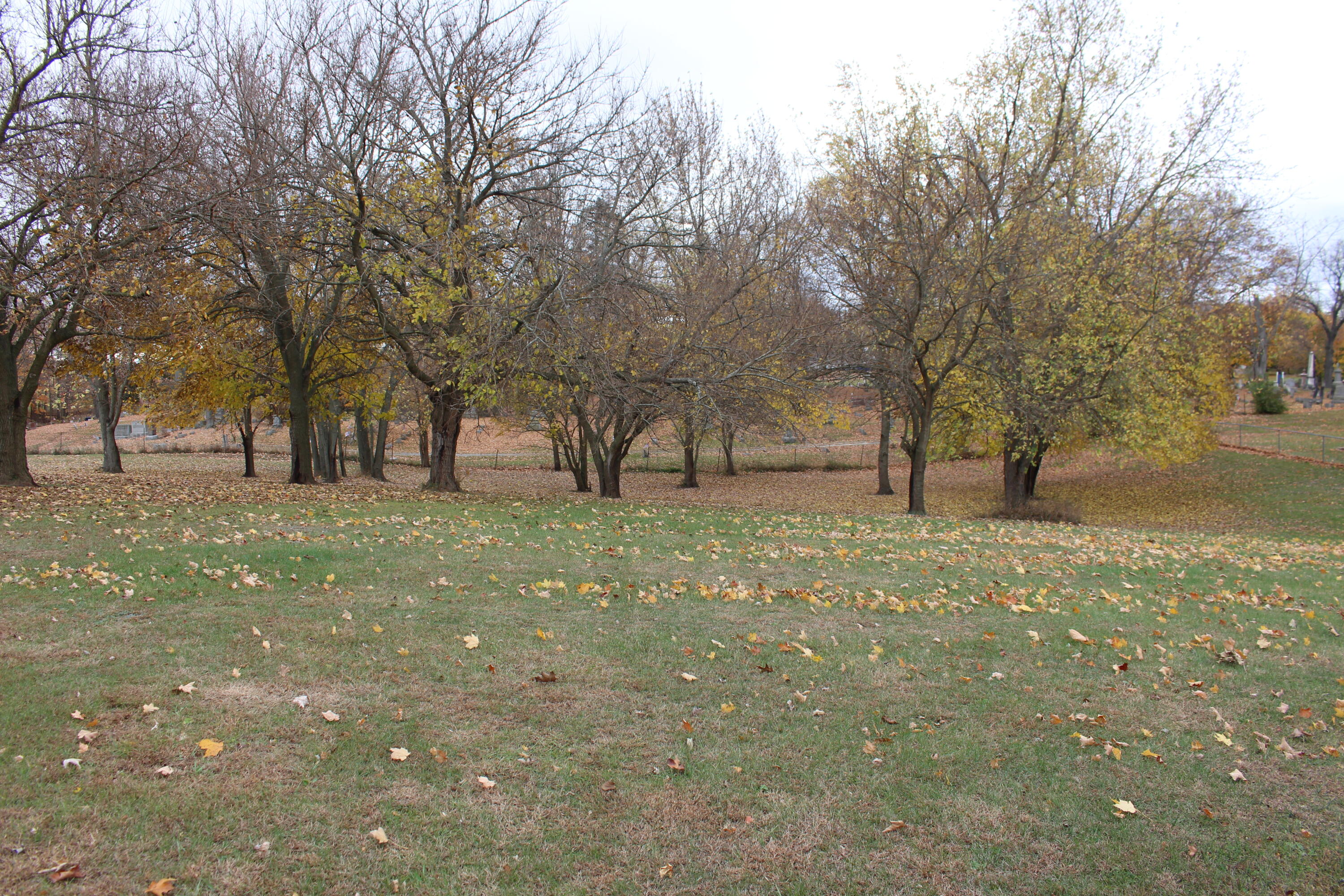 0 Wolf Lake Road Property Photo 3