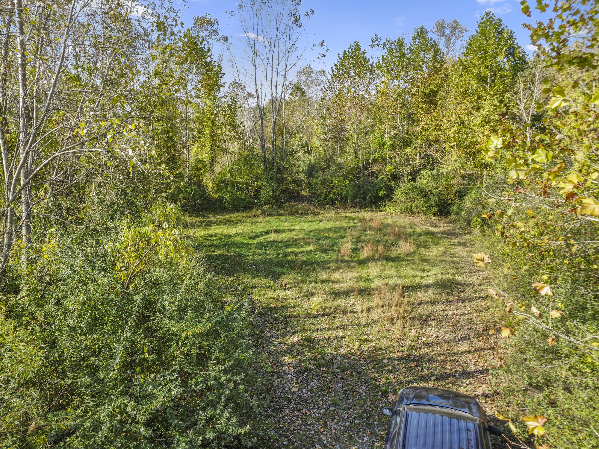 48269 Roy Ct Property Photo 18