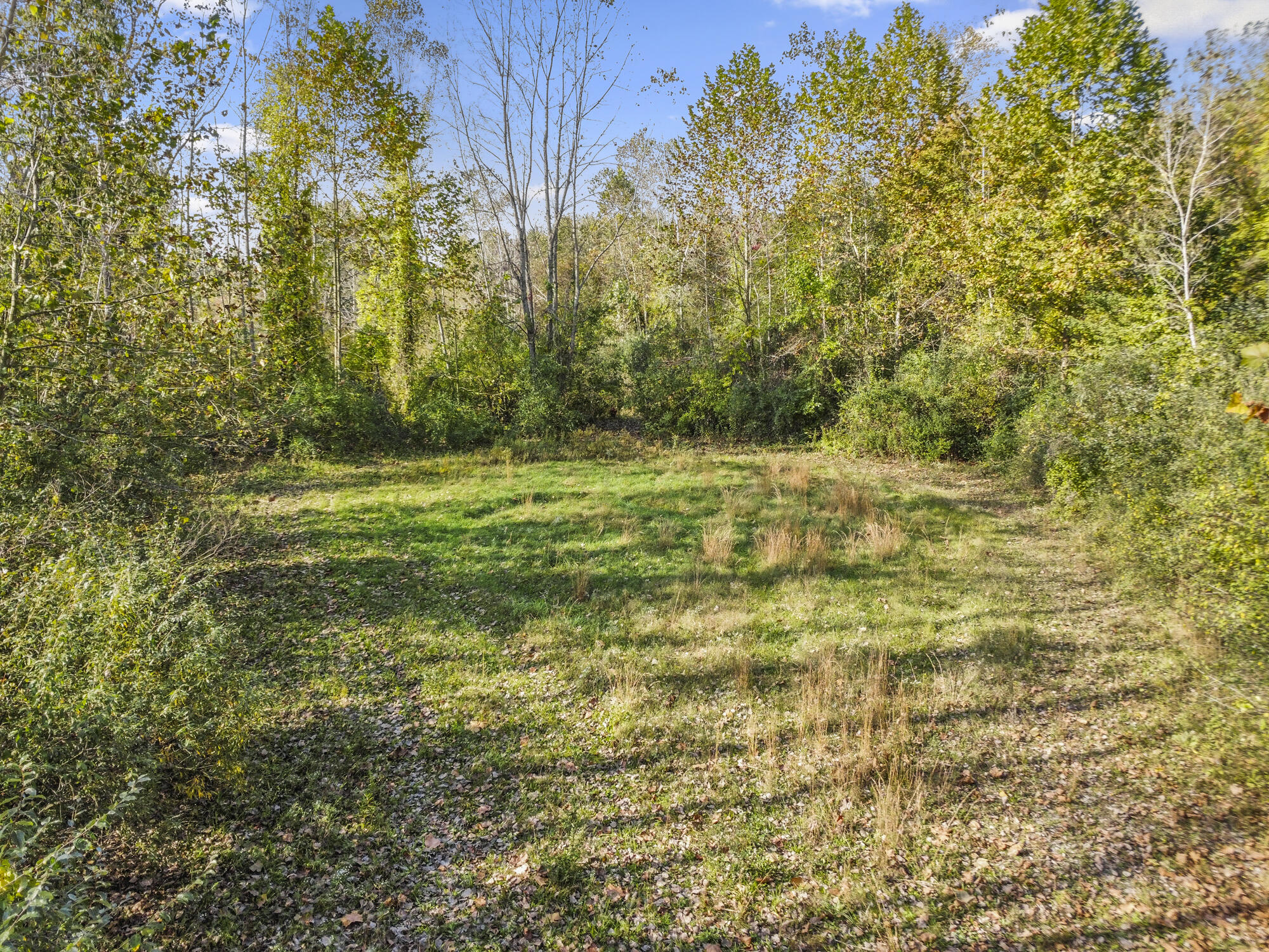 48269 Roy Ct Property Photo 19