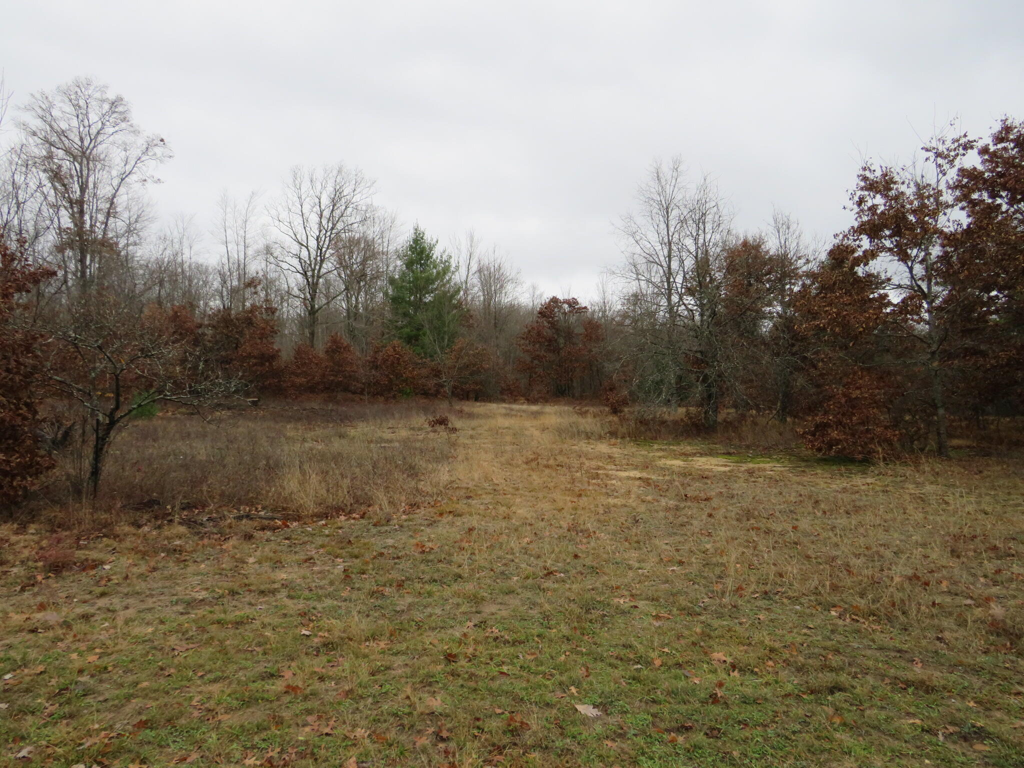 Vl Athey Avenue Property Photo 21