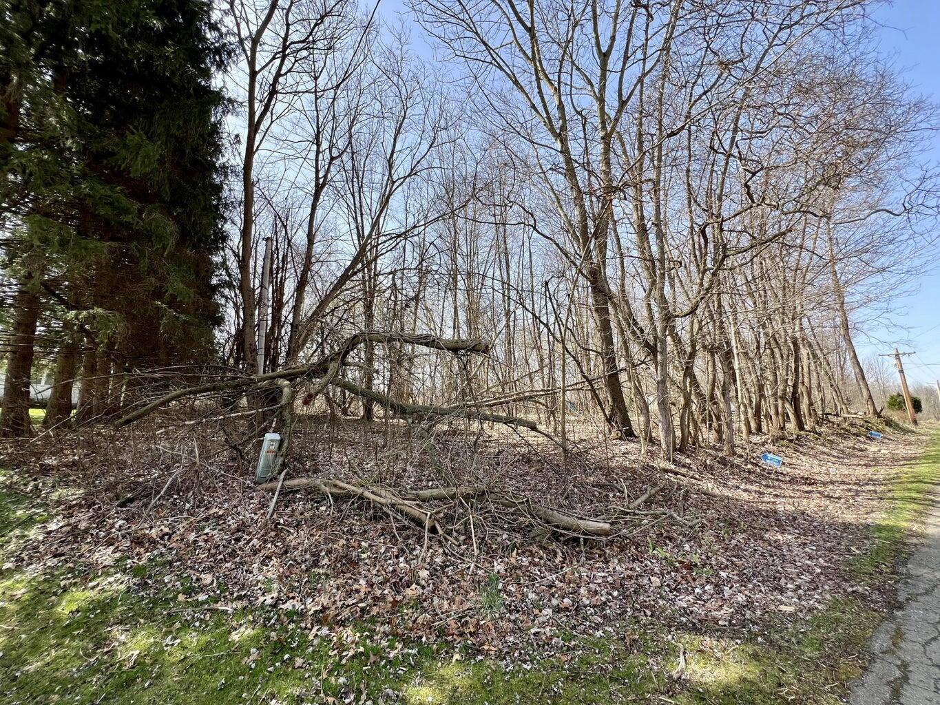 V/l Steininger Road Property Photo 1