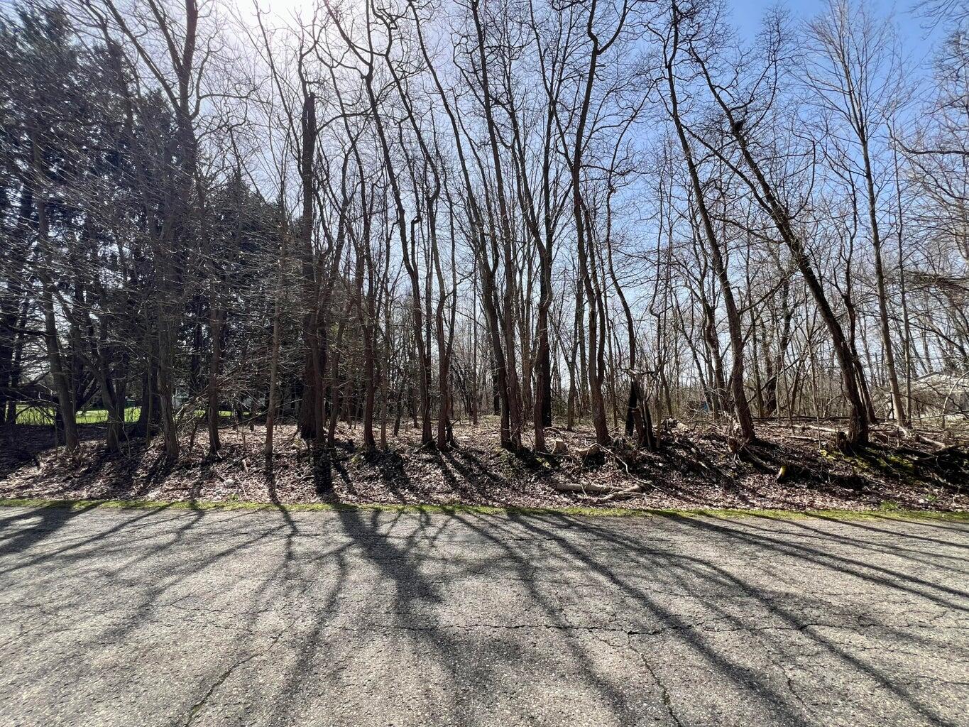 V/l Steininger Road Property Photo 2