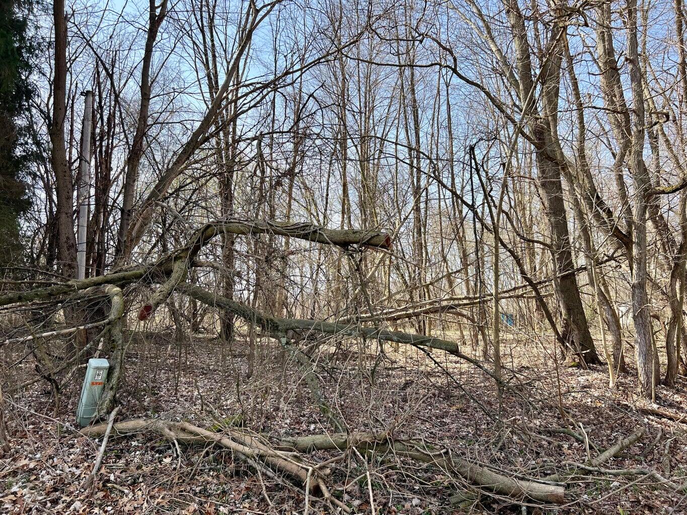 V/l Steininger Road Property Photo 3