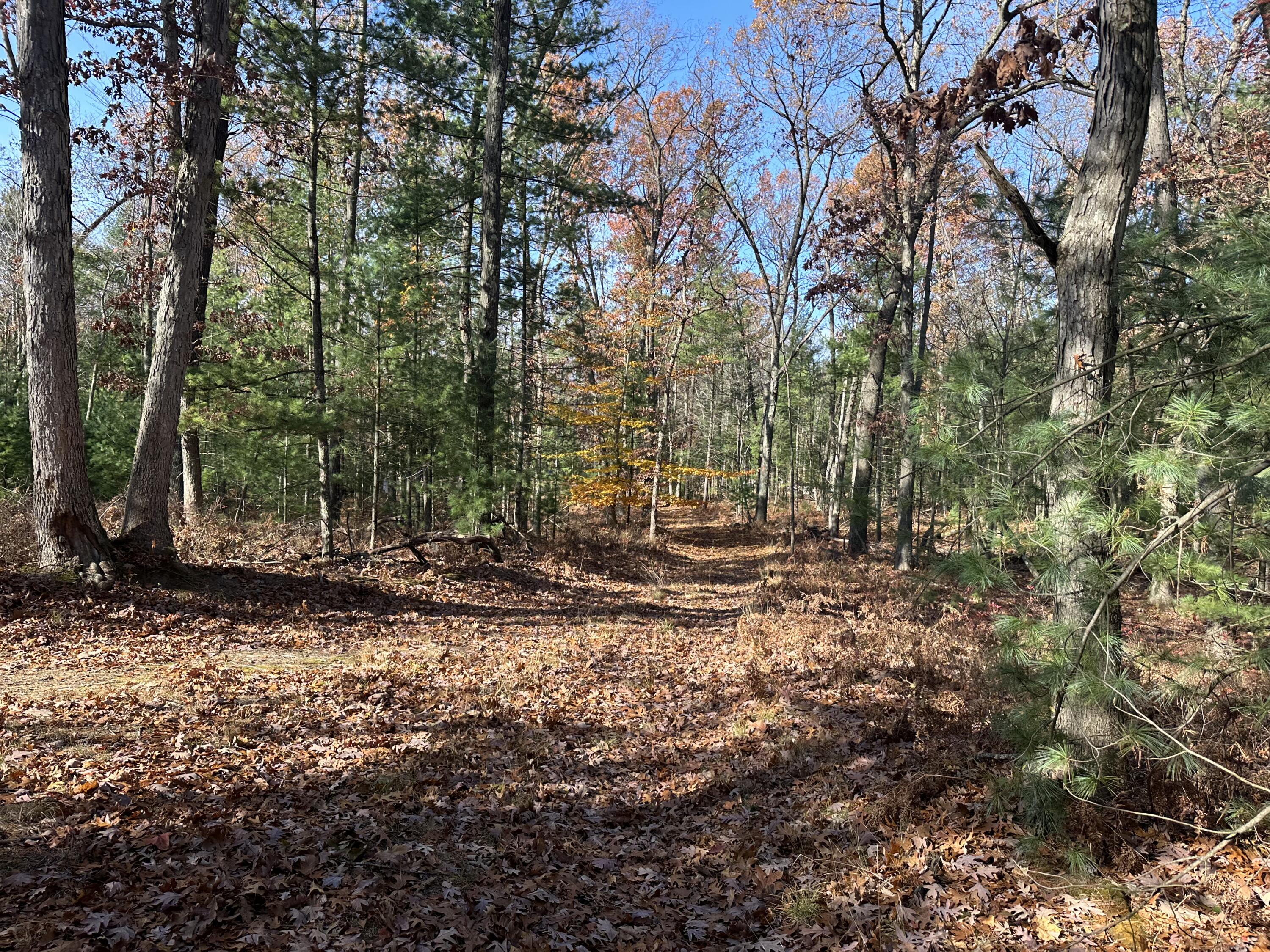 4651 W Madison Road Property Photo 9