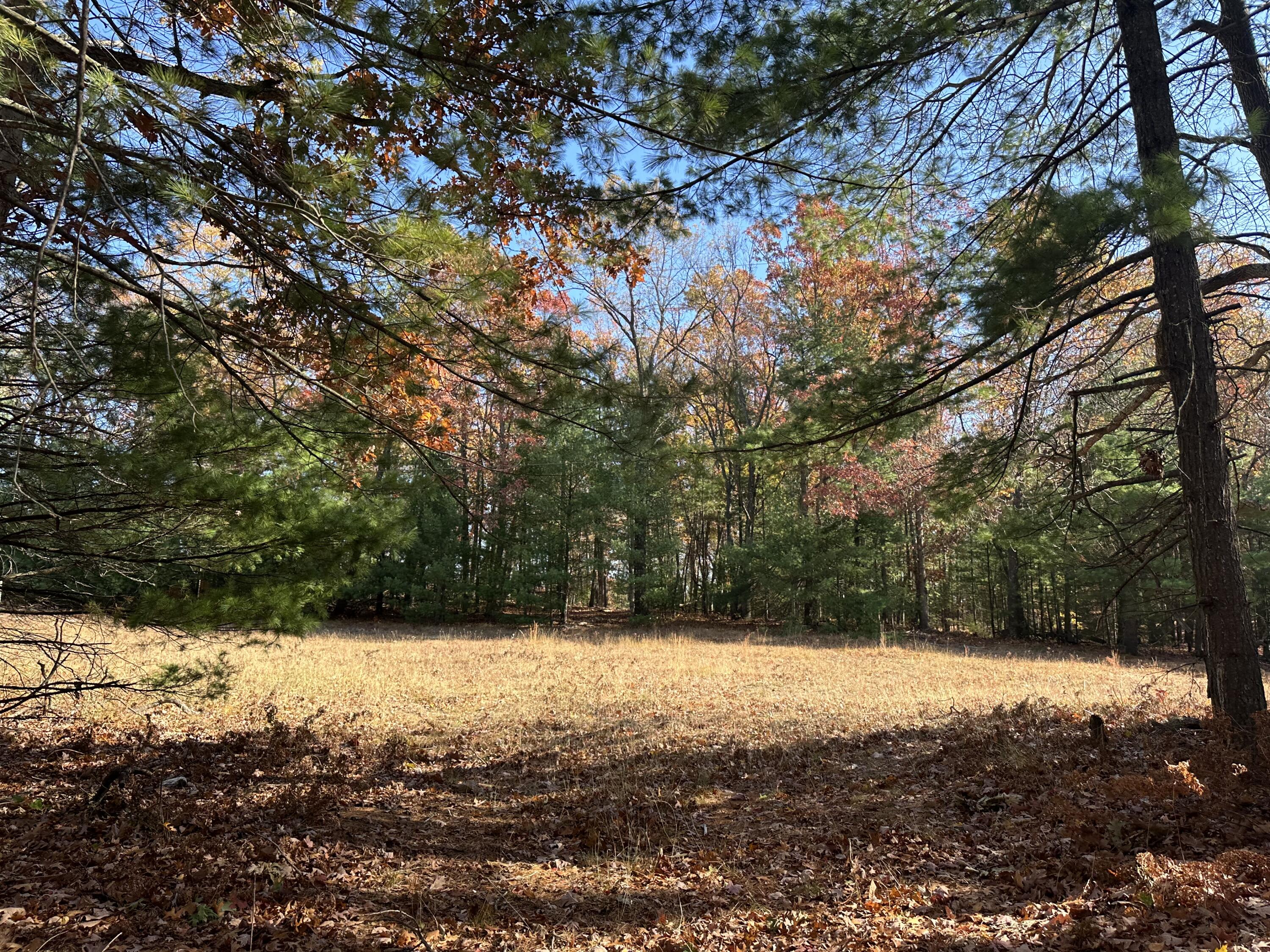 4651 W Madison Road Property Photo 13