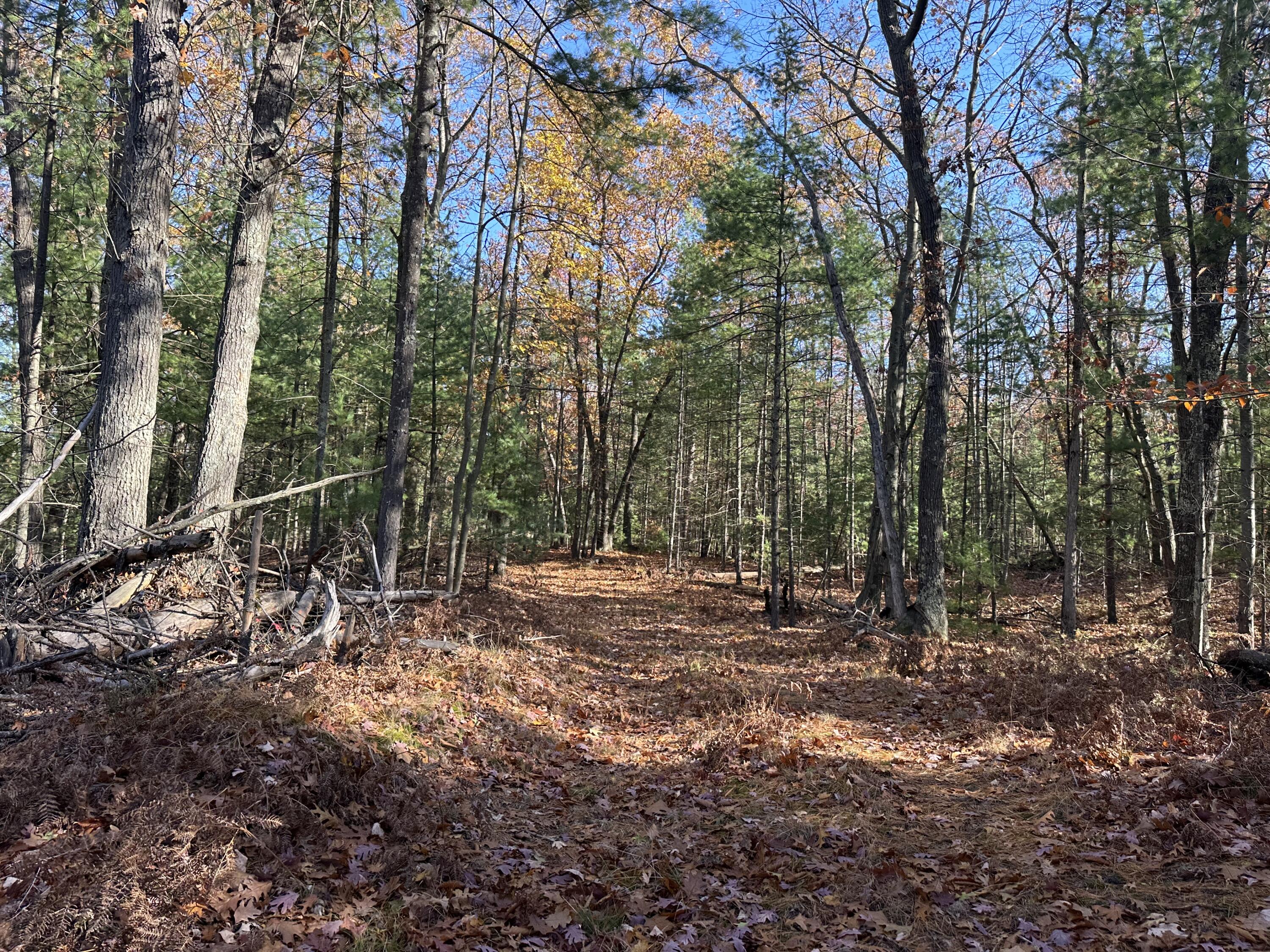 4651 W Madison Road Property Photo 14