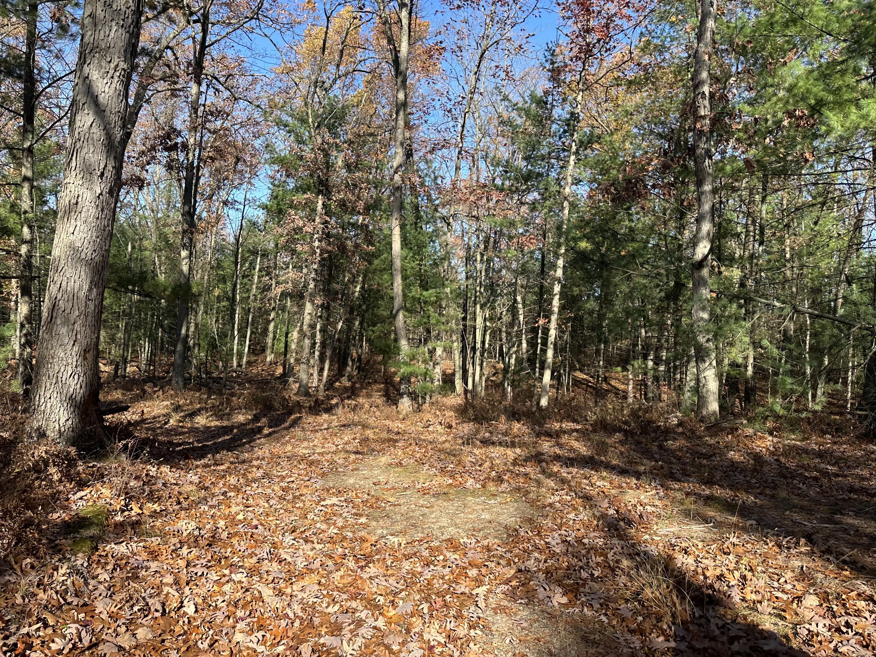 4651 W Madison Road Property Photo 15