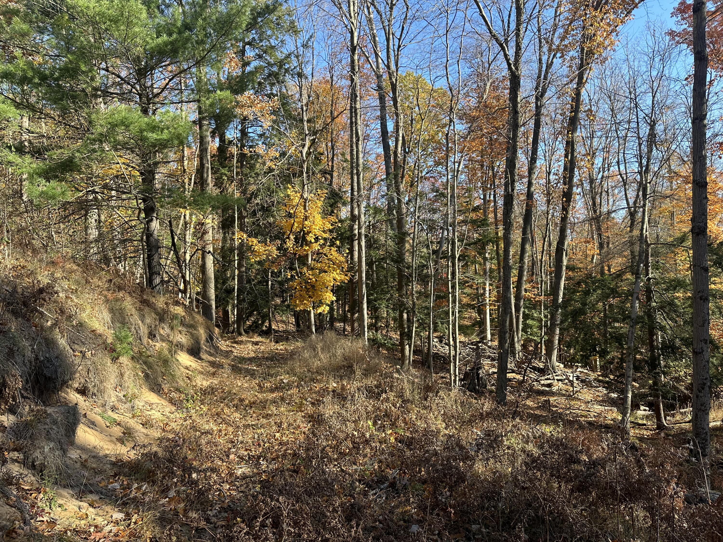 4651 W Madison Road Property Photo 17