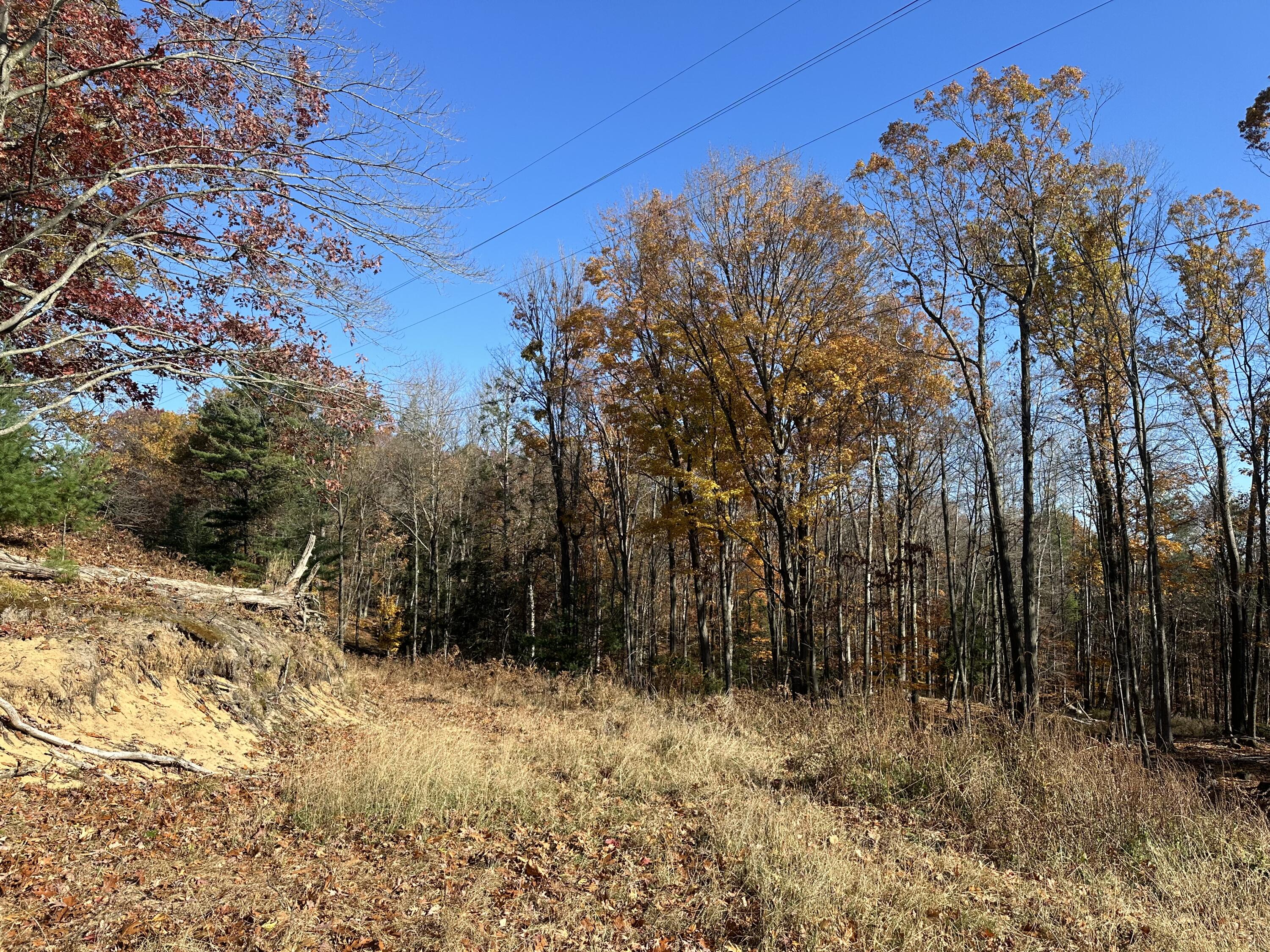 4651 W Madison Road Property Photo 18