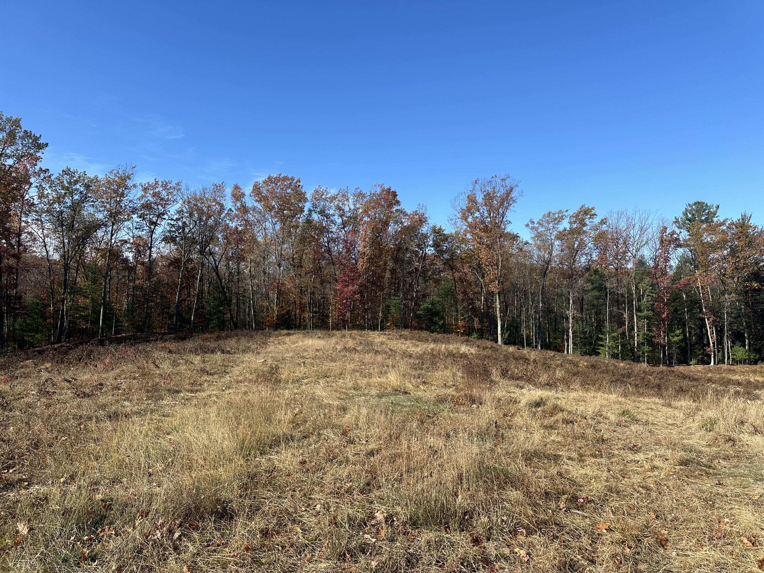 4651 W Madison Road Property Photo 19