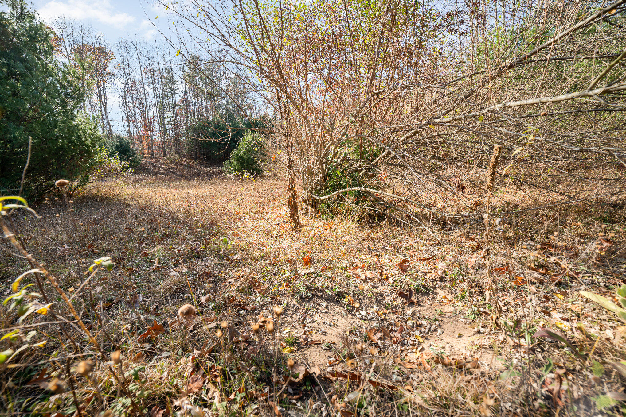 10195 E Church Road Property Photo 2