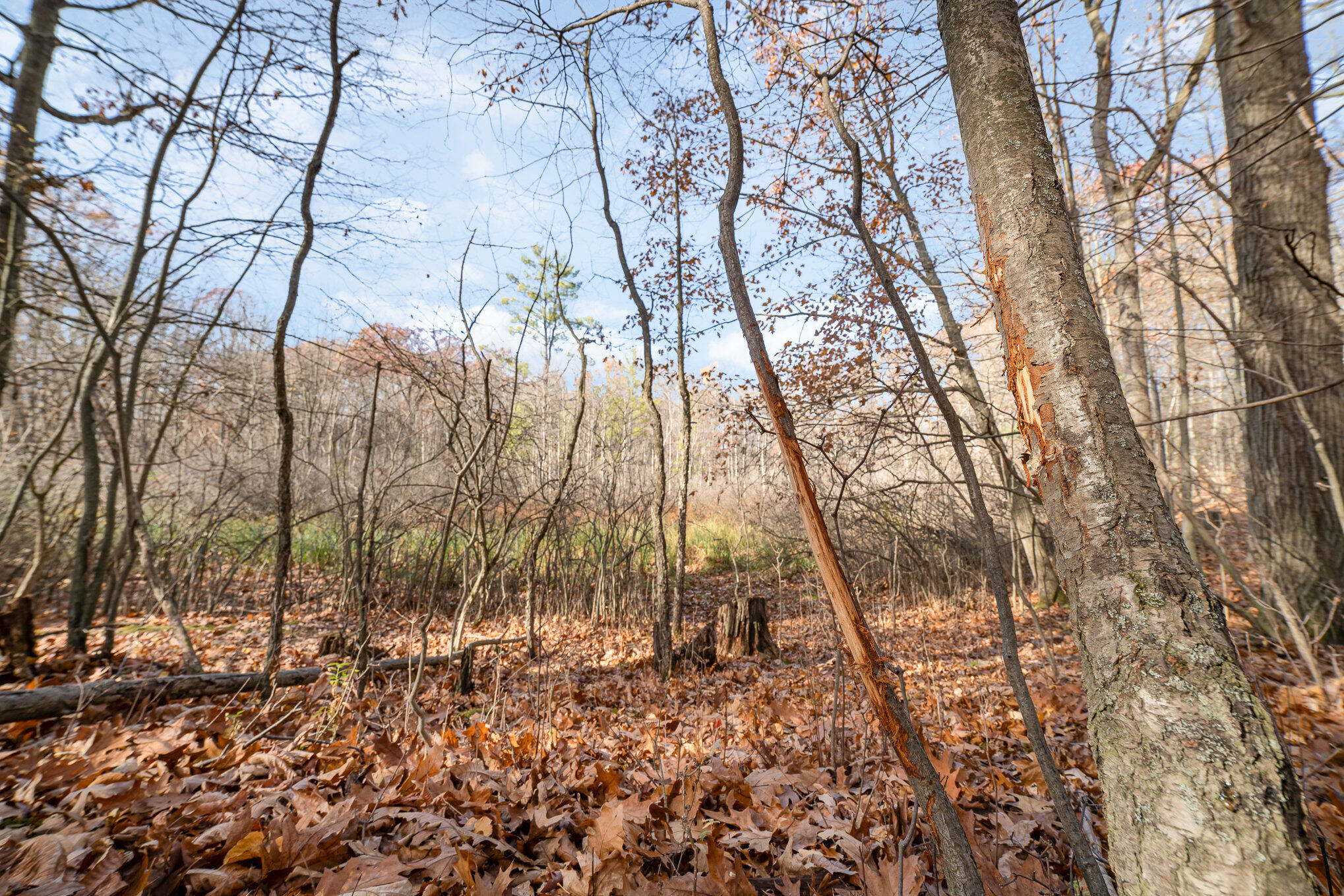 10195 E Church Road Property Photo 3