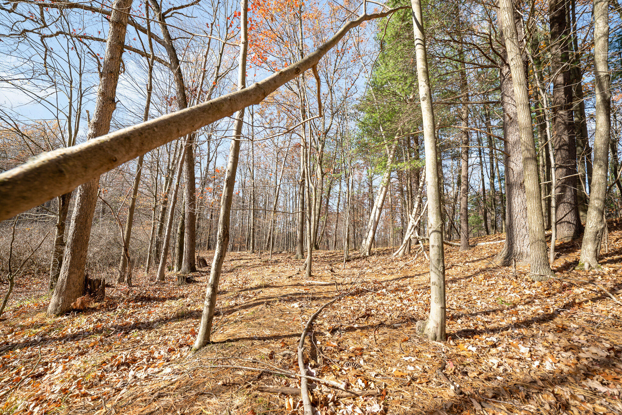 10195 E Church Road Property Photo 4