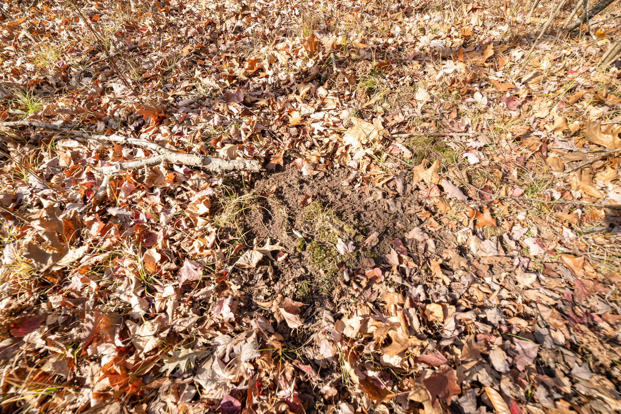 10195 E Church Road Property Photo 5