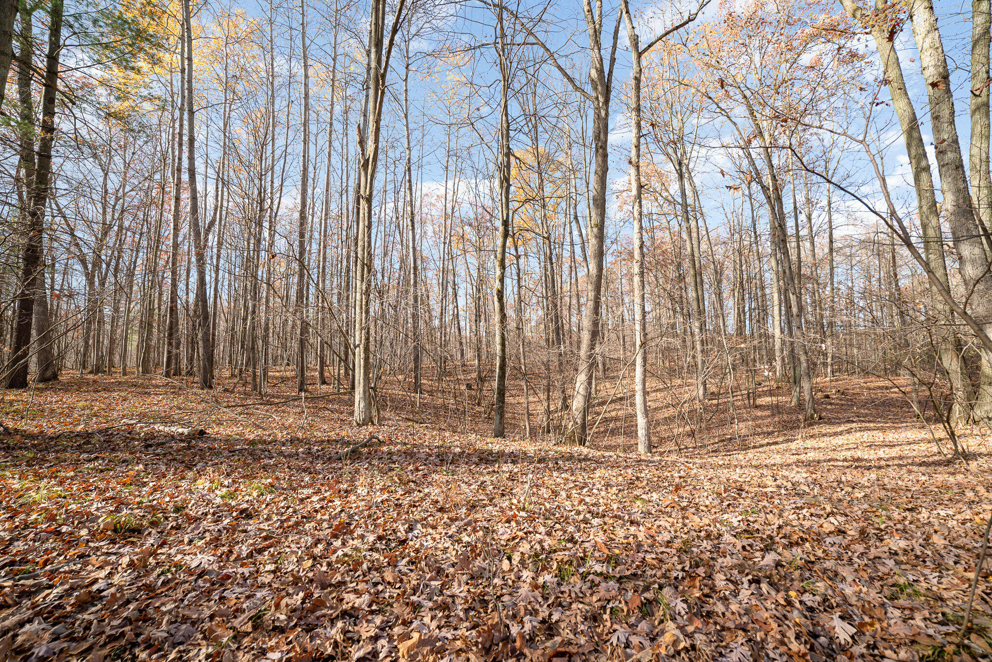 10195 E Church Road Property Photo 6