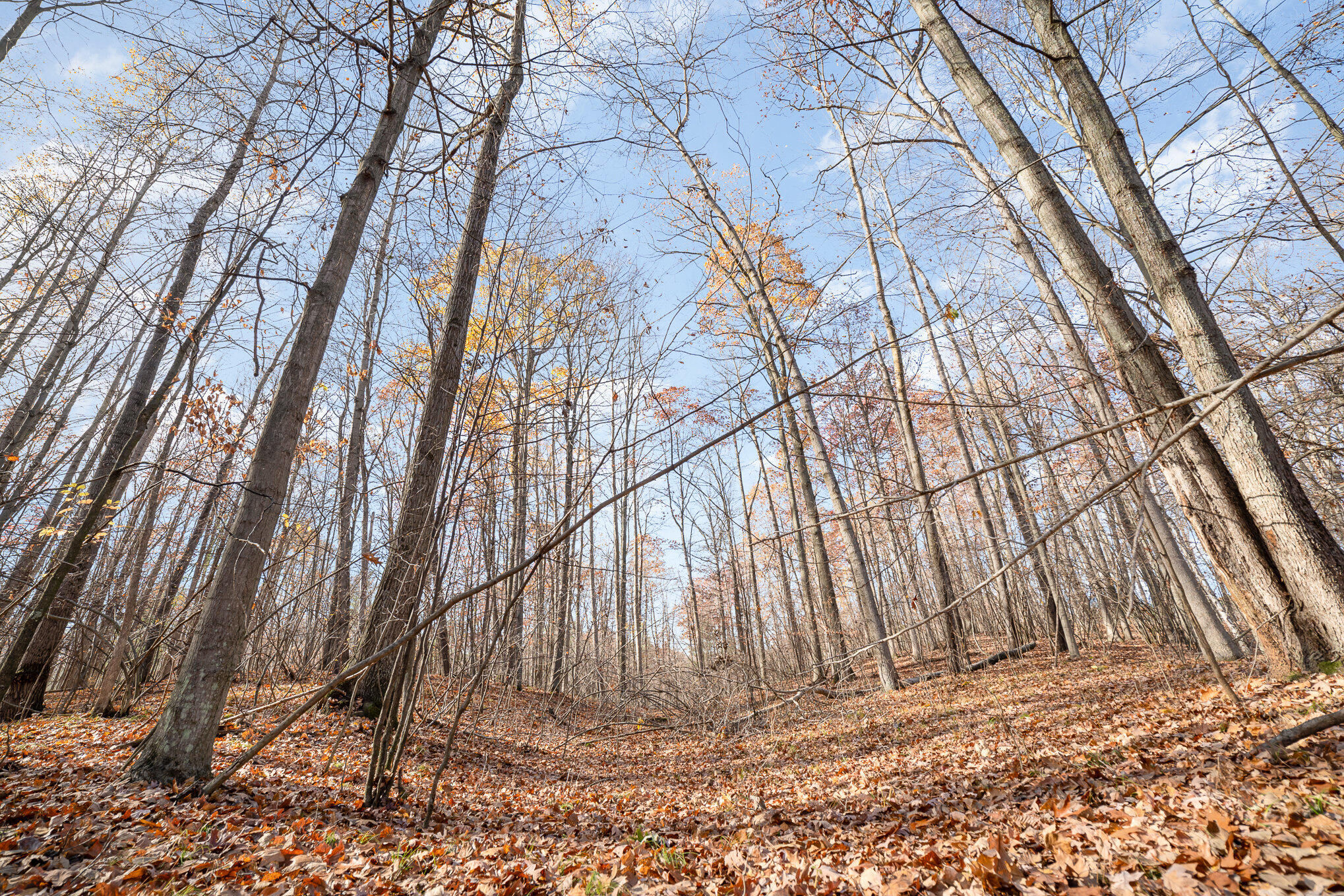 10195 E Church Road Property Photo 7