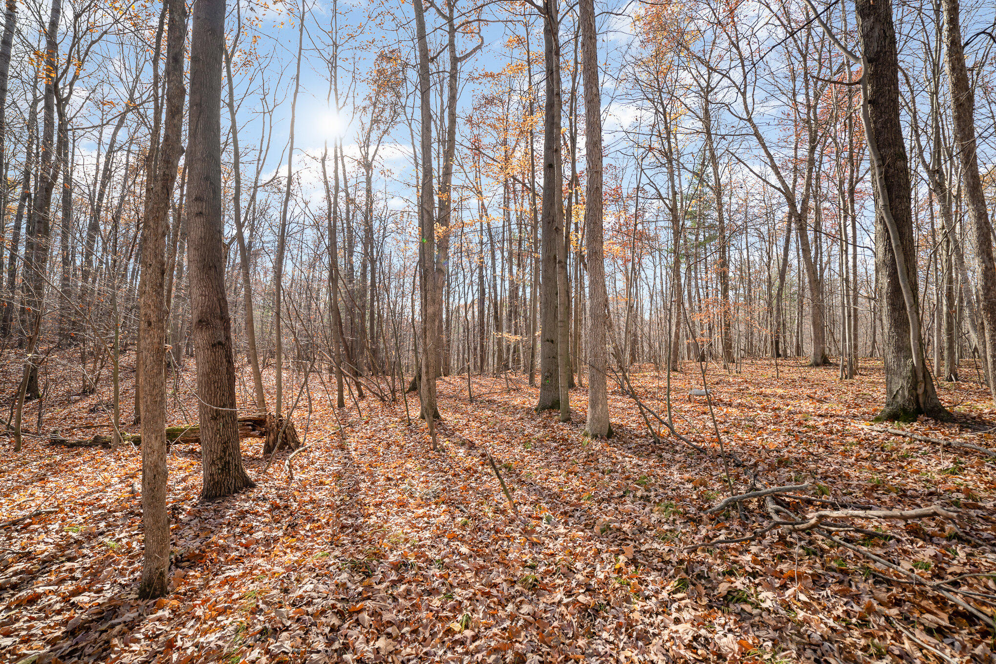 10195 E Church Road Property Photo 8