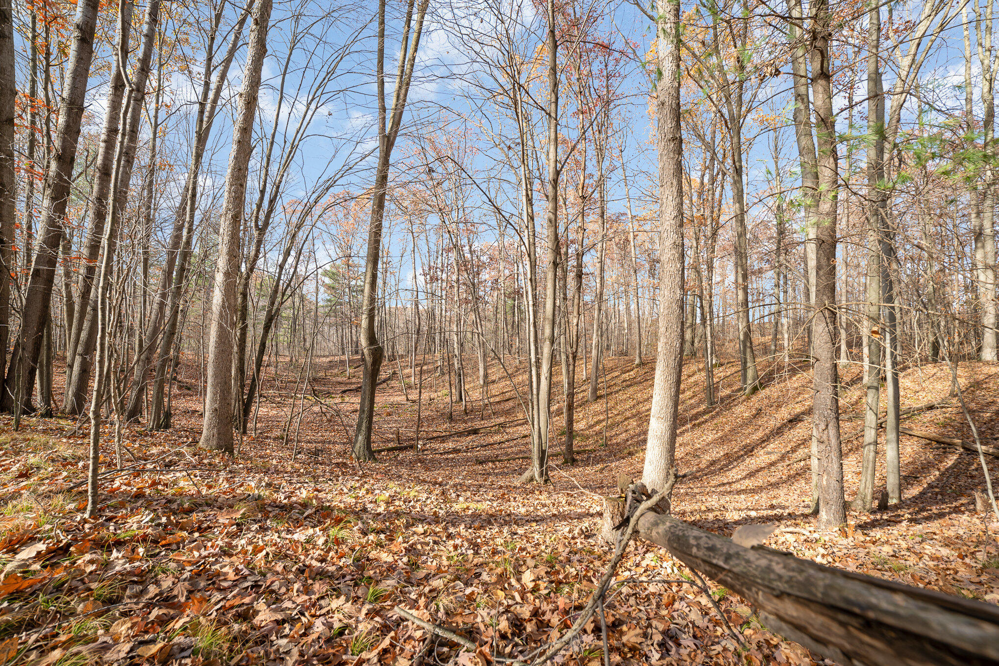 10195 E Church Road Property Photo 9