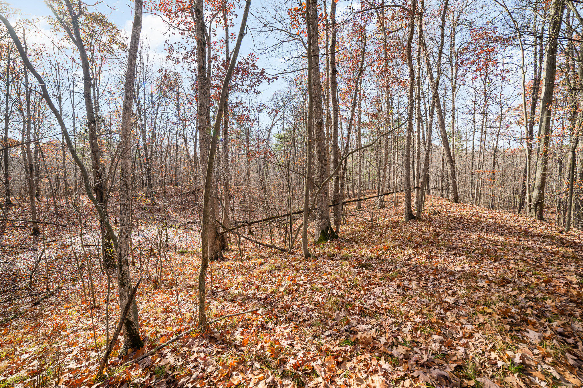 10195 E Church Road Property Photo 10