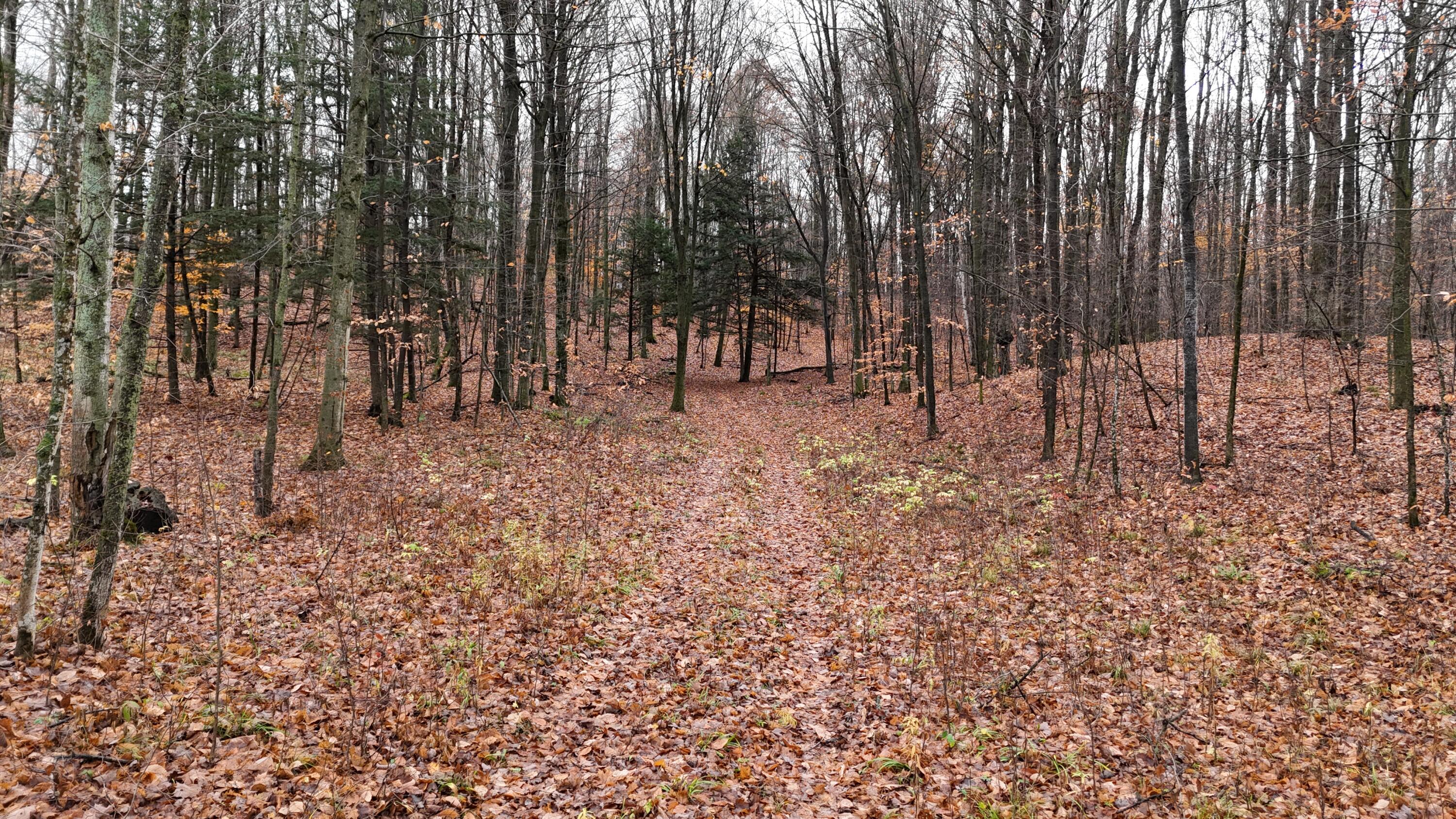 Mcclish Aka Bigge Property Photo 6