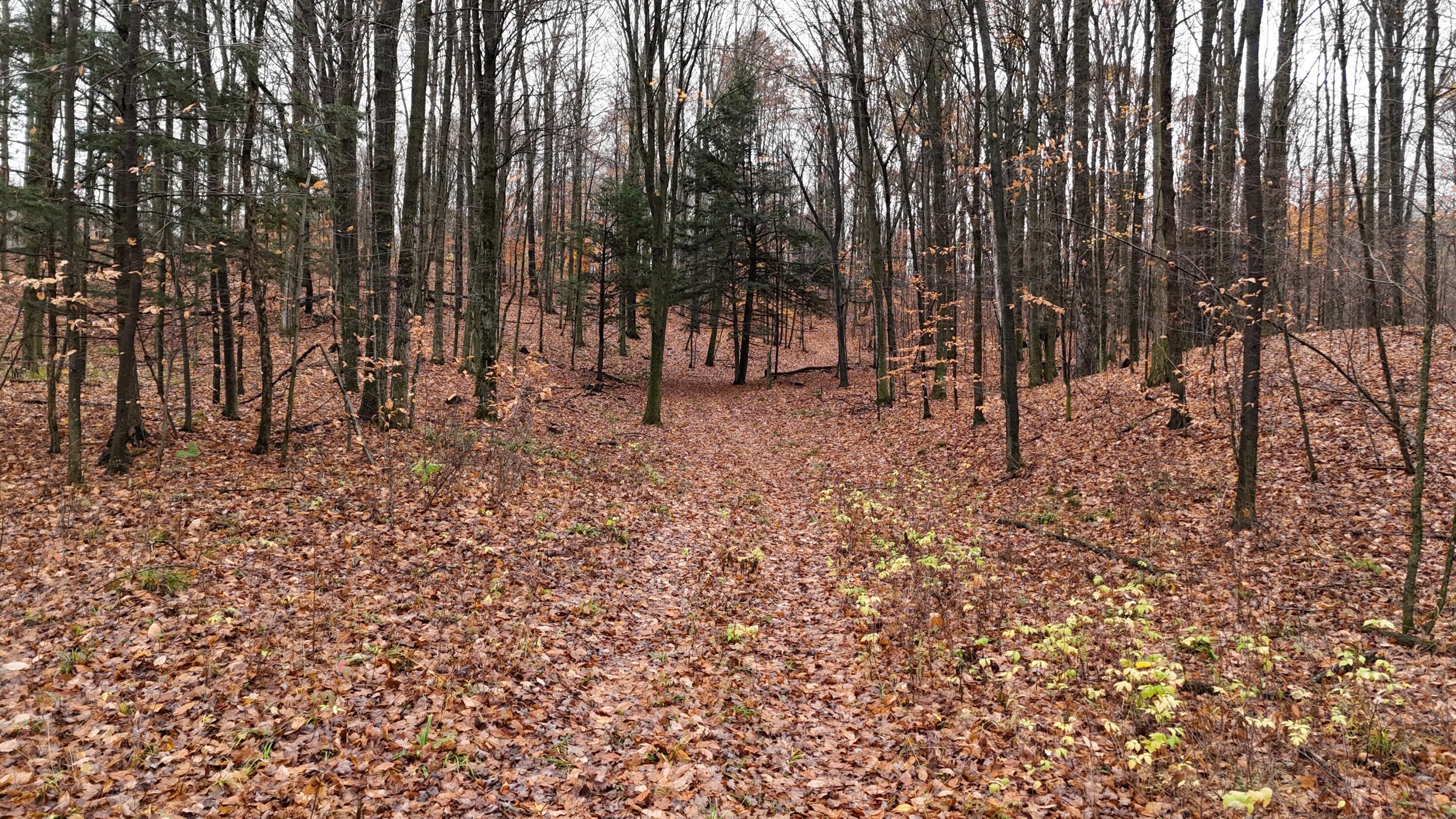 Mcclish Aka Bigge Property Photo 7