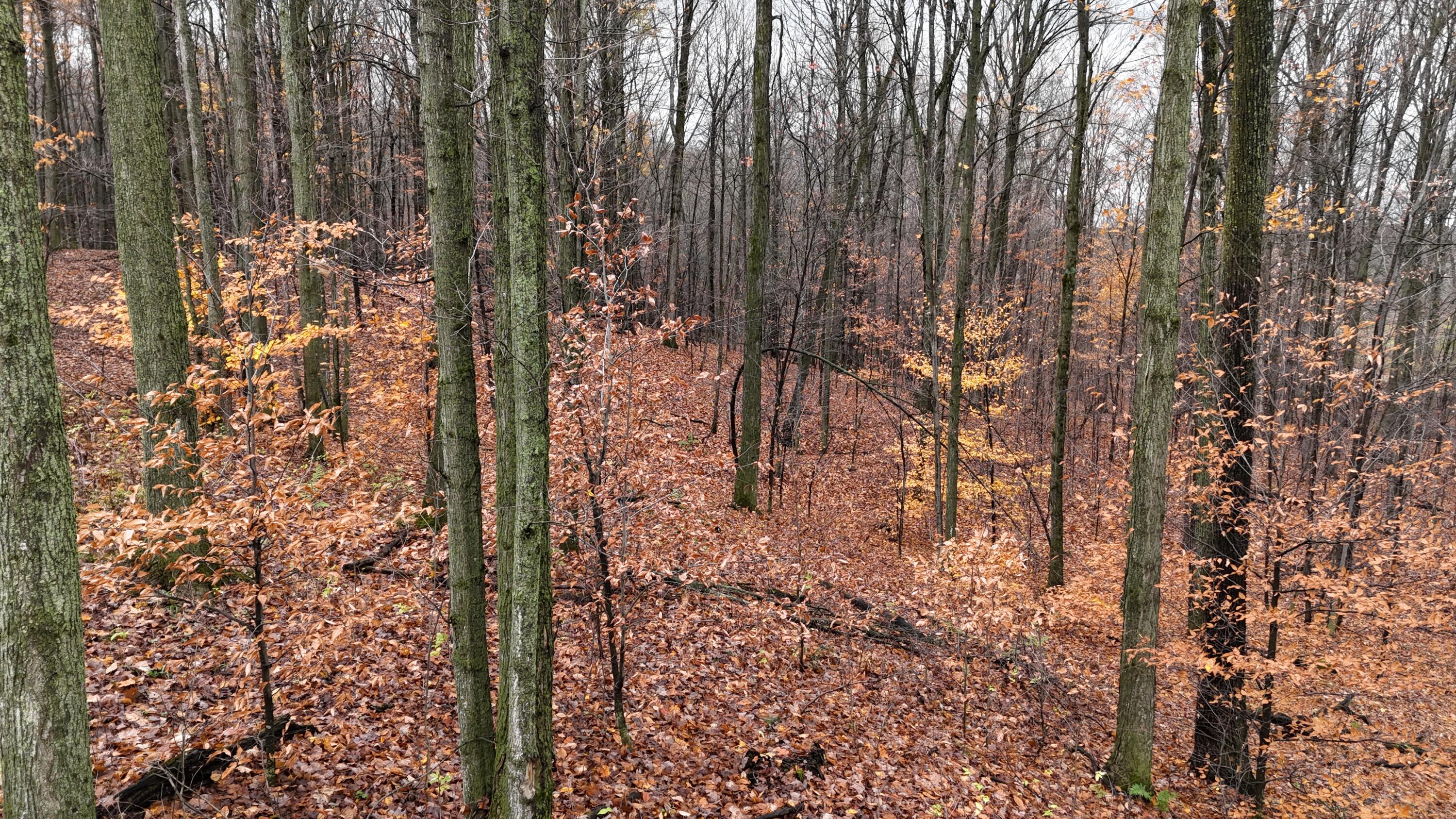 Mcclish Aka Bigge Property Photo 11