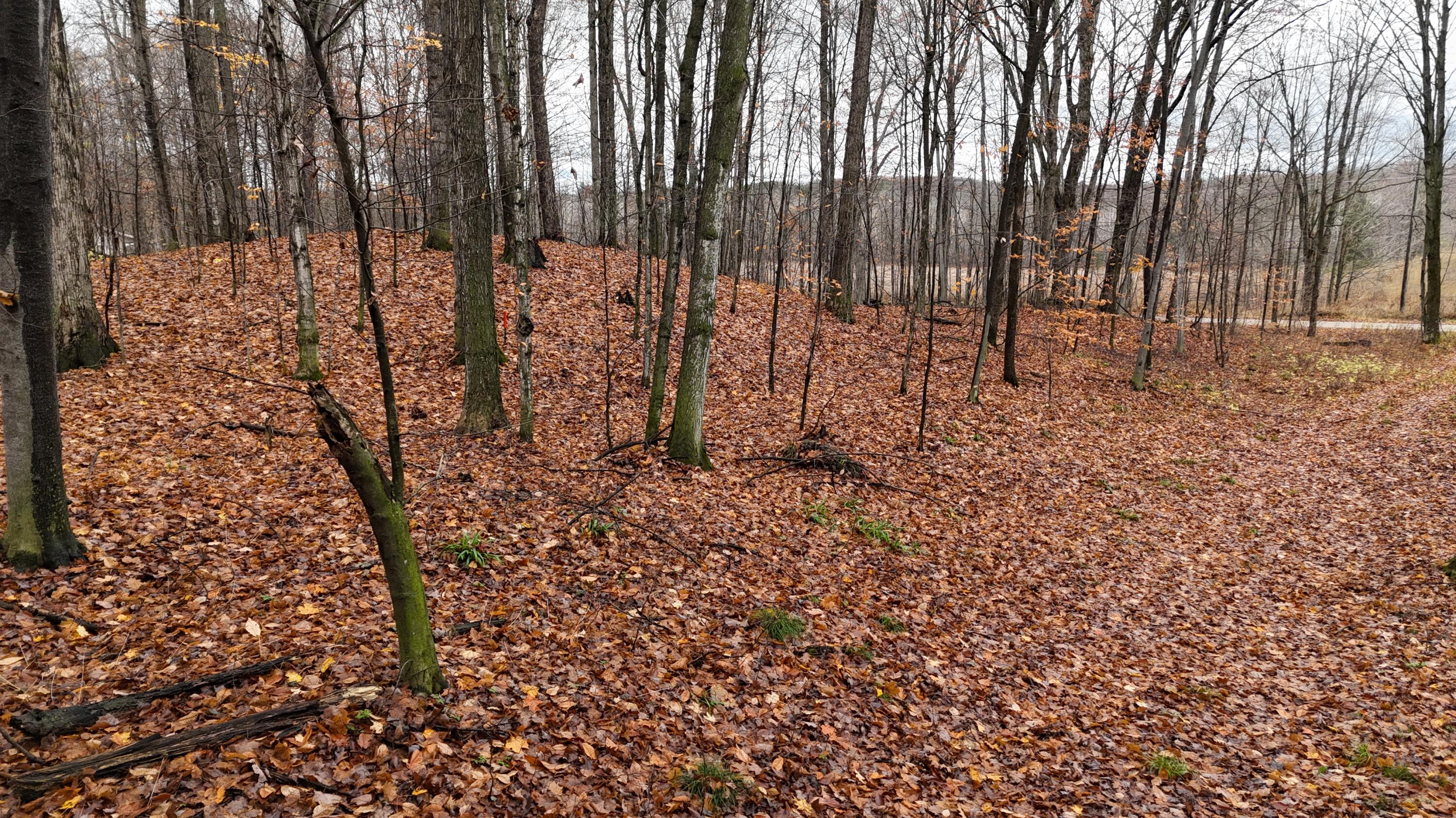 Mcclish Aka Bigge Property Photo 14