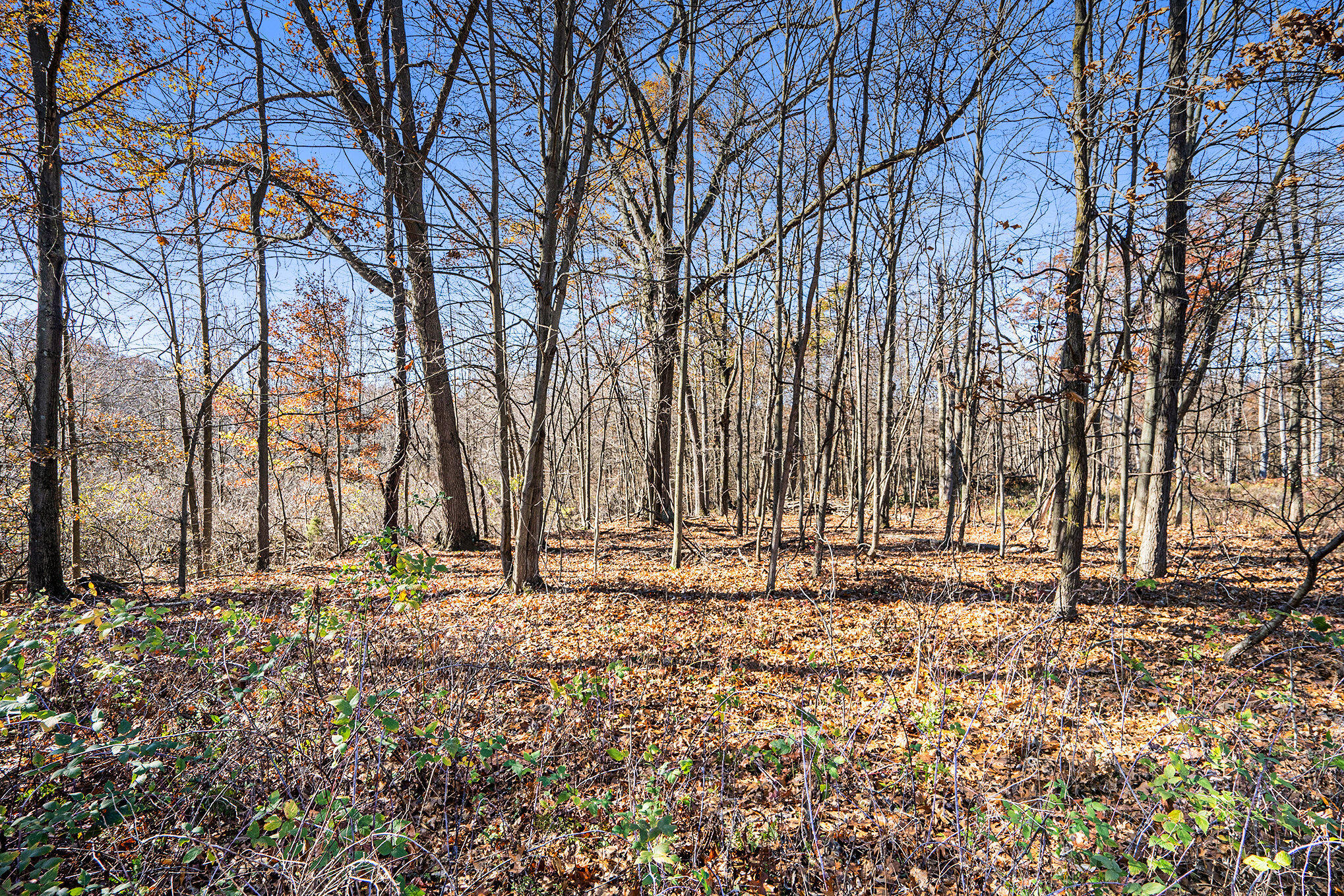 V/l Cedar Lake Property Photo 12