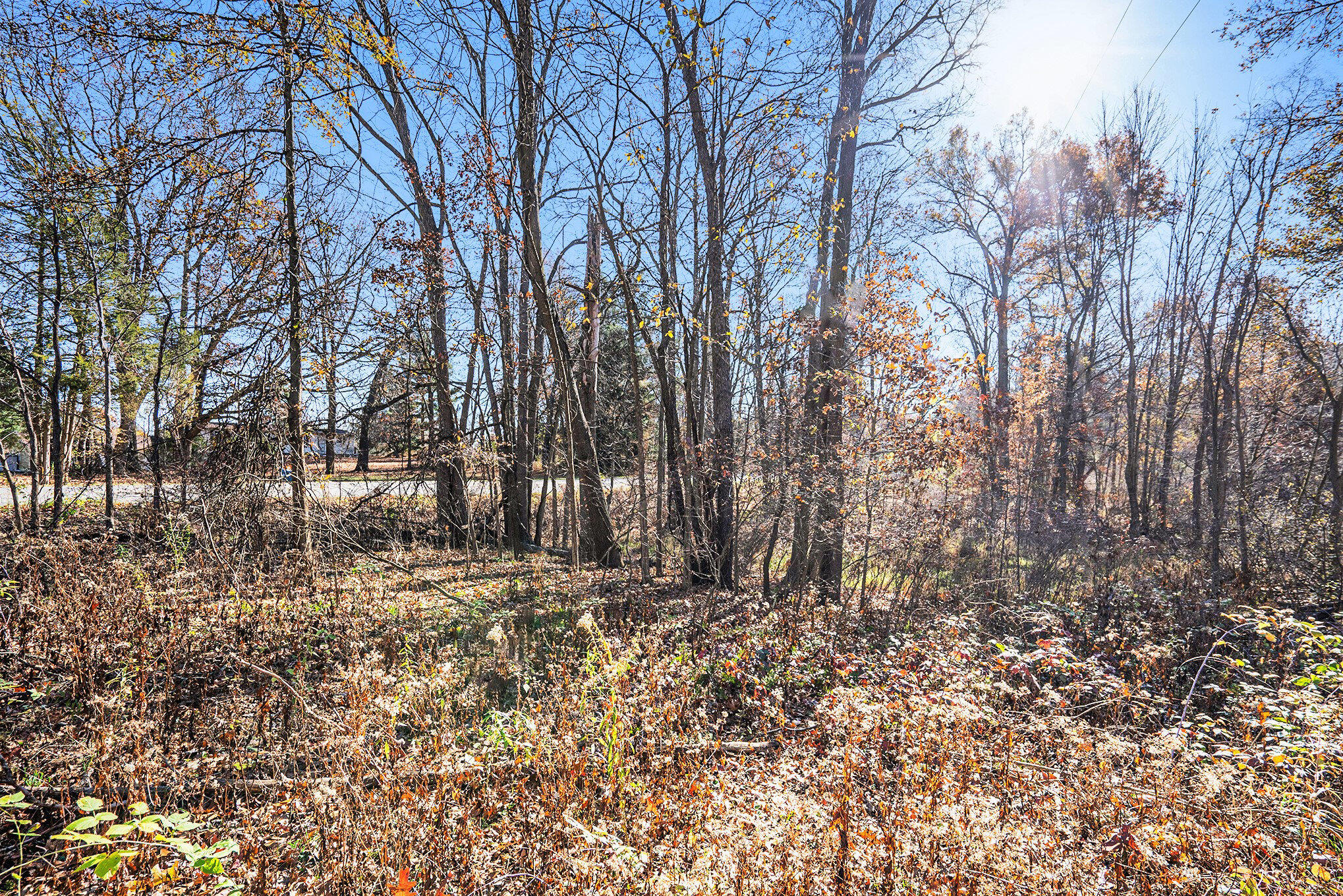V/l Cedar Lake Property Photo 13