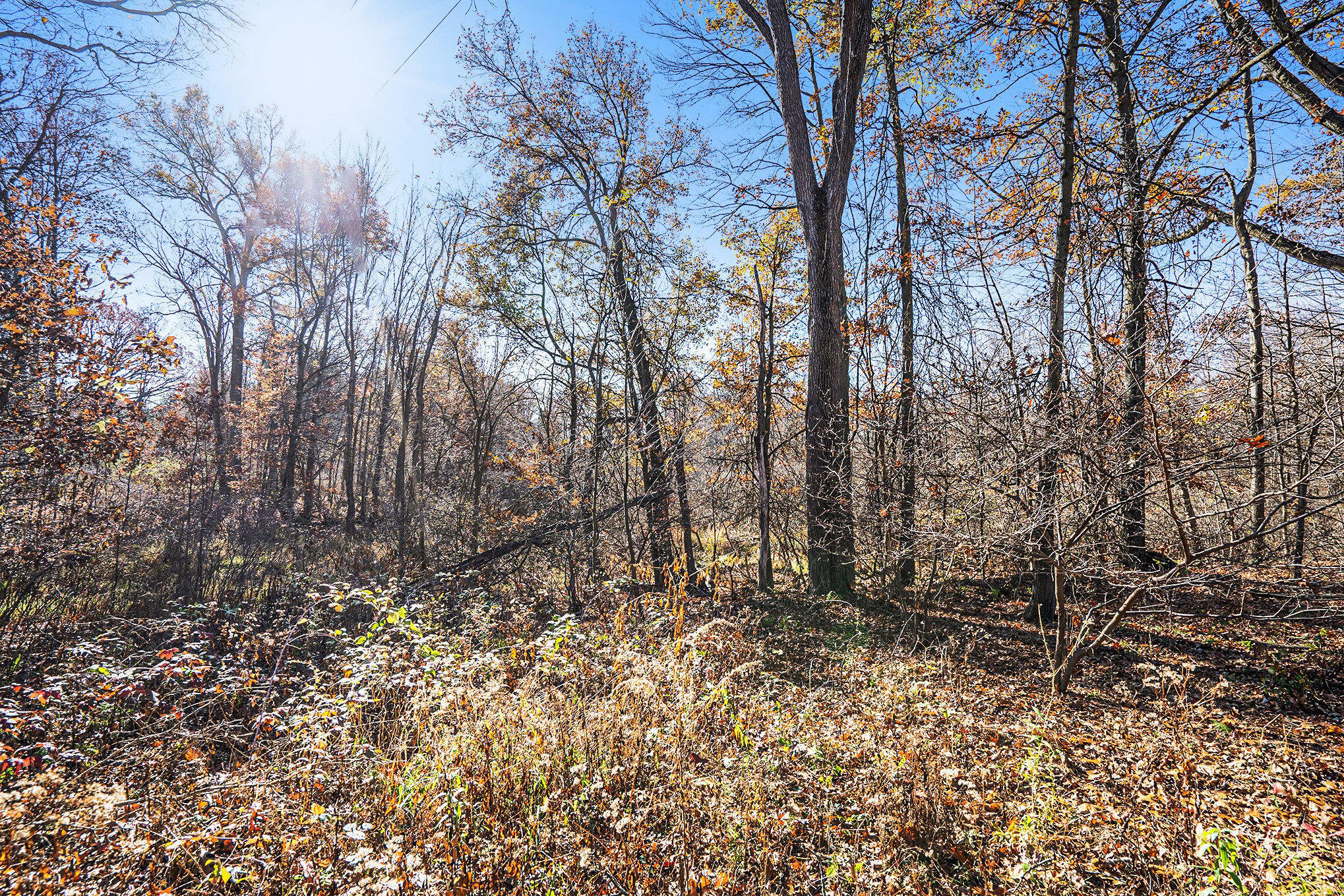 V/l Cedar Lake Property Photo 14