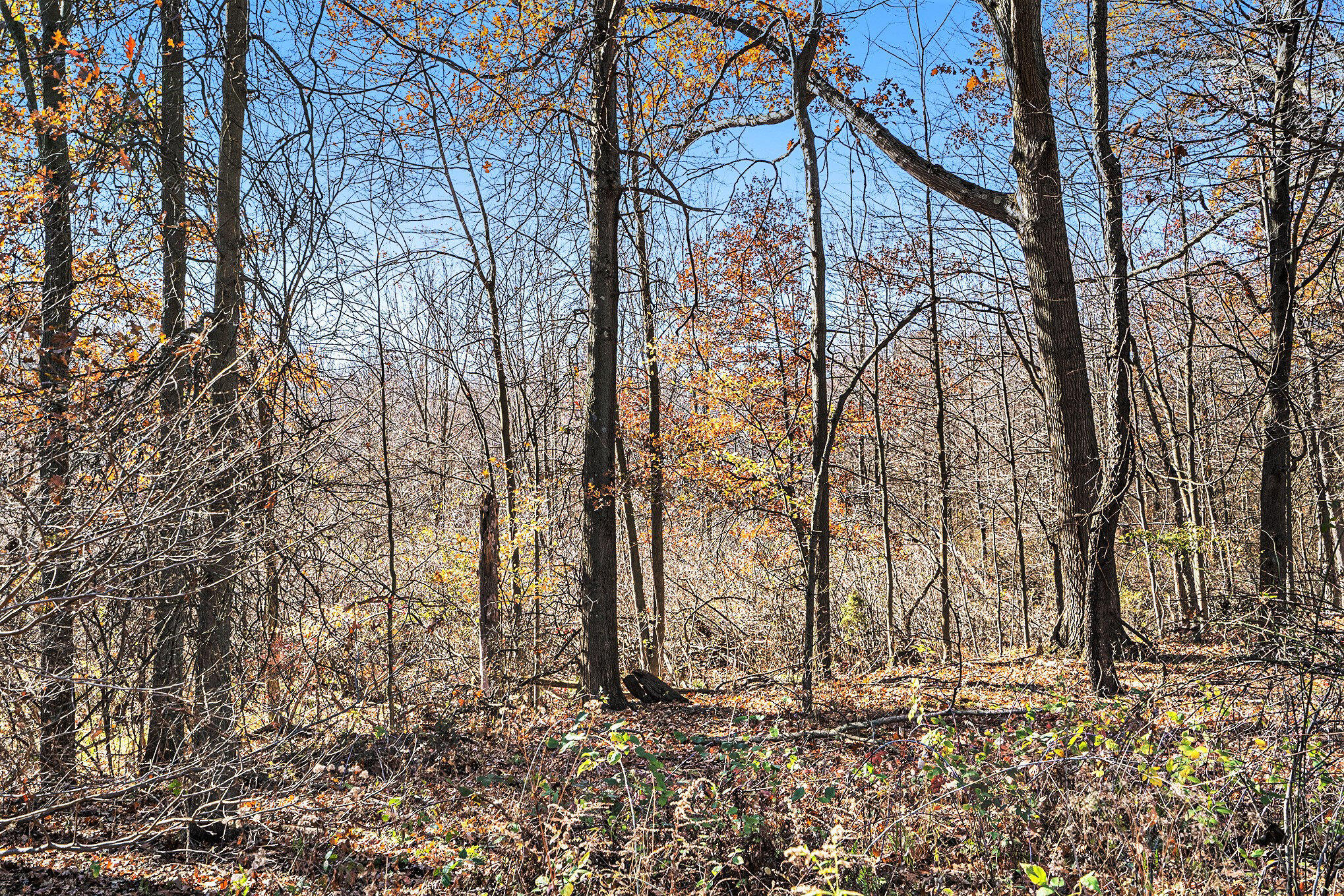 V/l Cedar Lake Property Photo 15