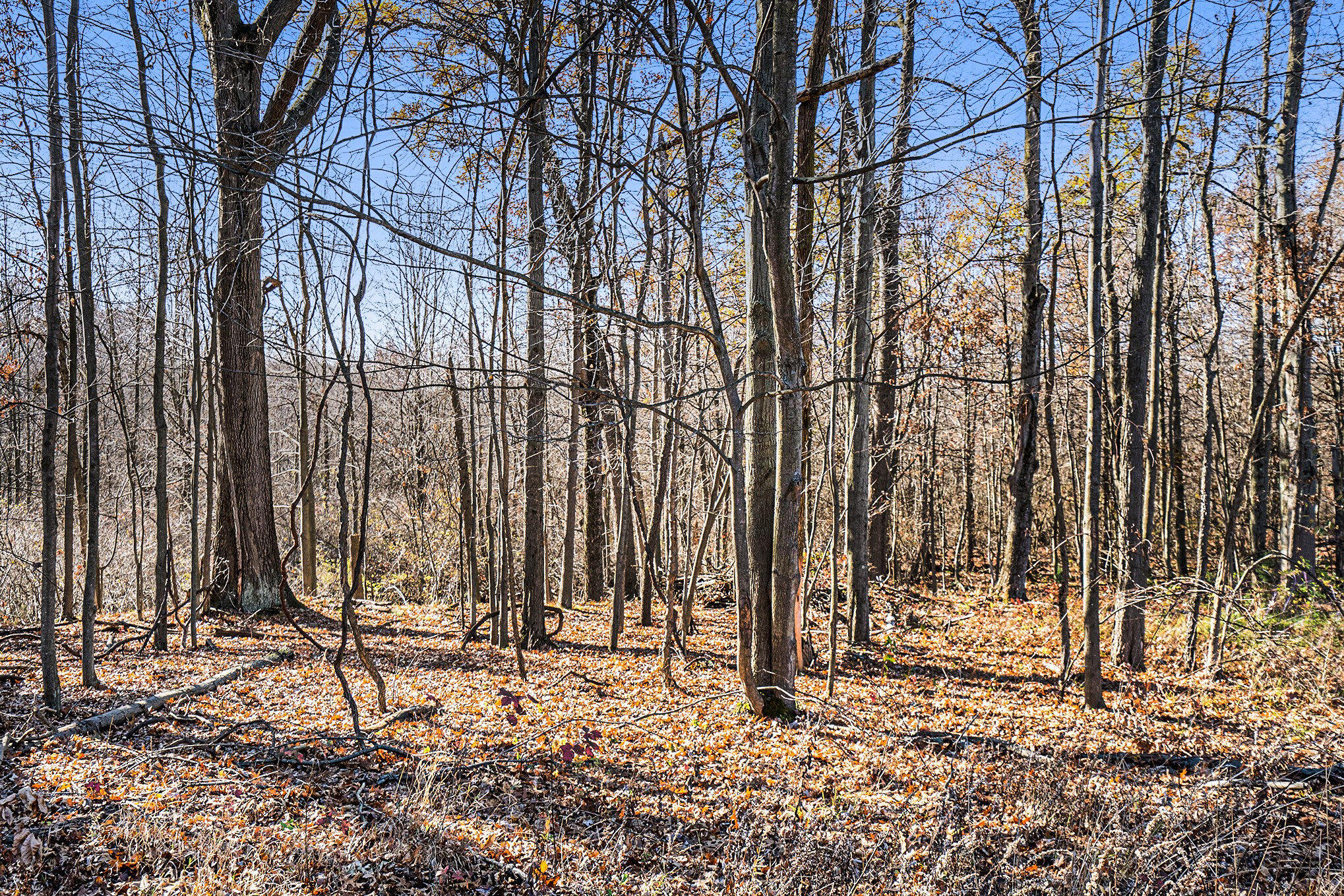 V/l Cedar Lake Property Photo 16