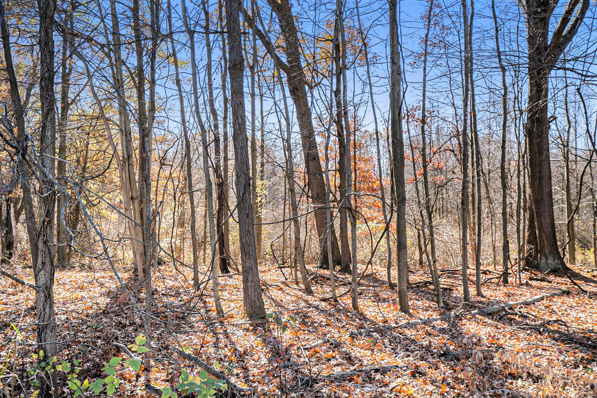 V/l Cedar Lake Property Photo 17
