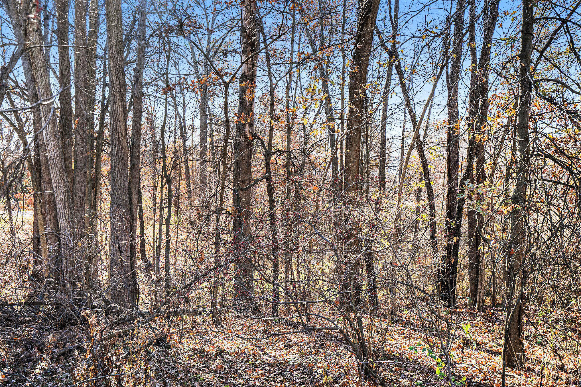 V/l Cedar Lake Property Photo 18