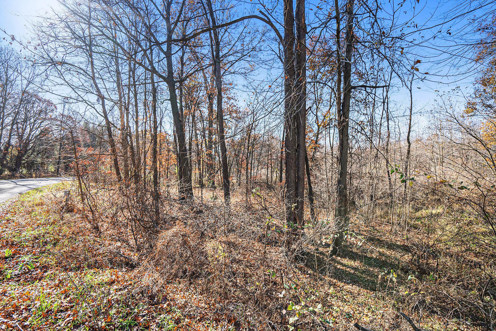 V/l Cedar Lake Property Photo 19