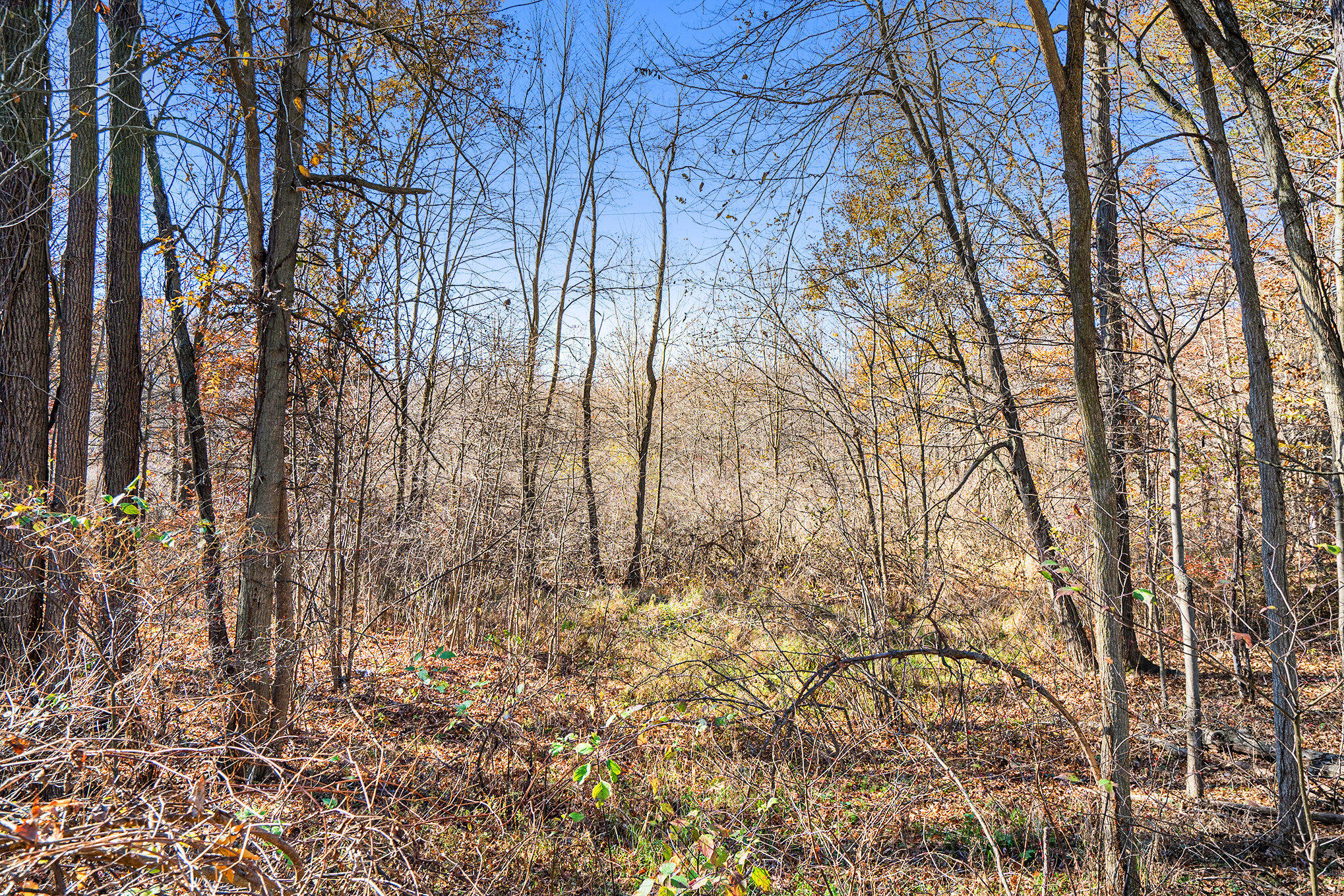 V/l Cedar Lake Property Photo 20