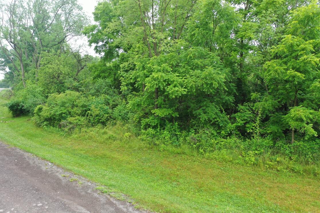 0 Hickory Ridge Court Property Photo 7