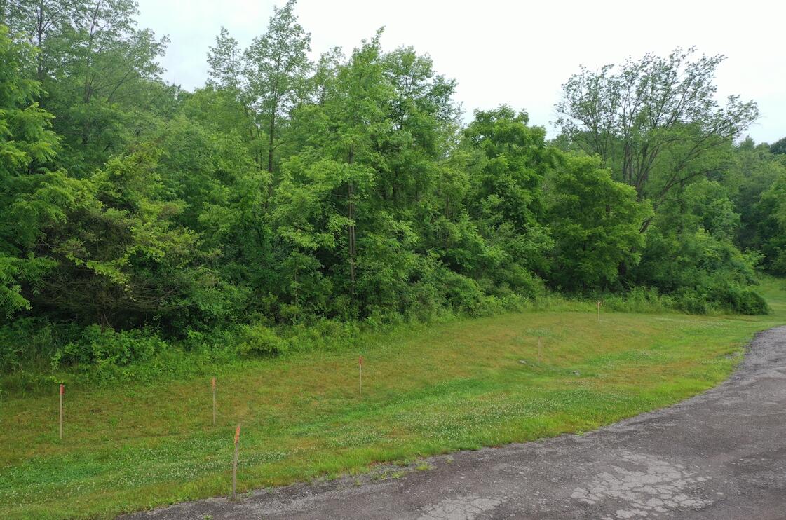 0 Hickory Ridge Court Property Photo 8