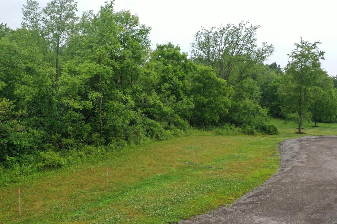 0 Hickory Ridge Court Property Photo 10
