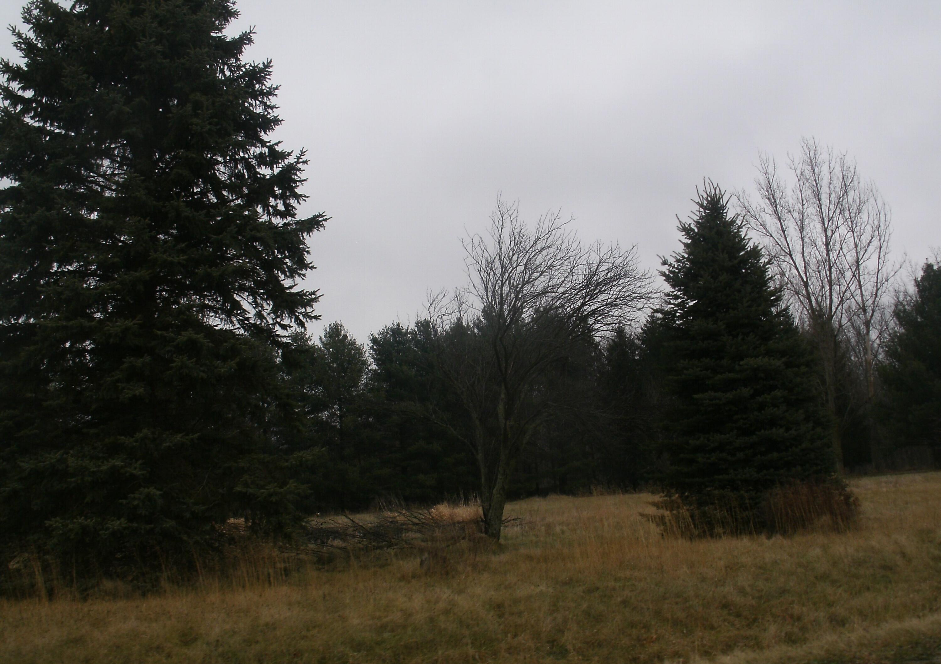 64457 Needham Road Property Photo